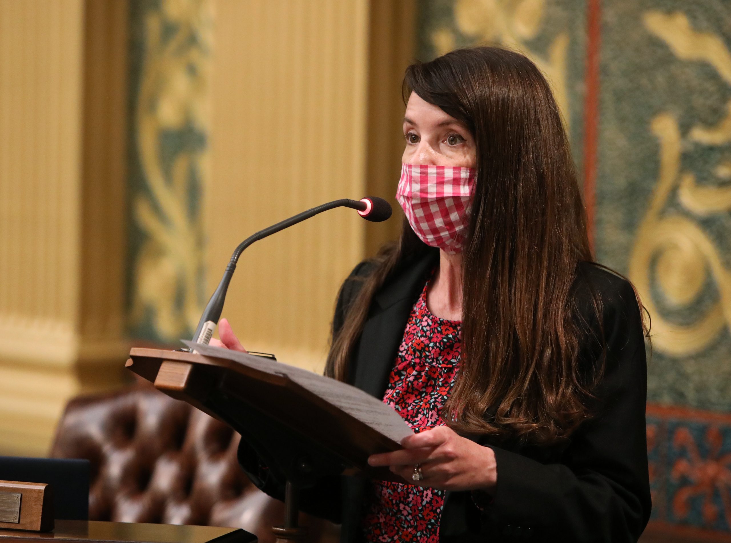 State Rep. Christine Morse (D-Portage) spoke on the House floor Wednesday, May 5, 2021.