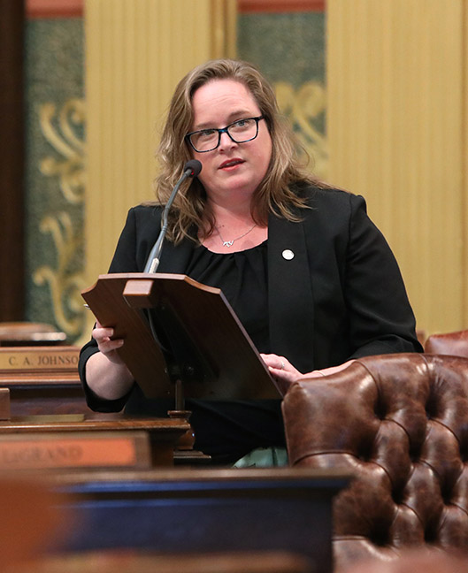 State Rep. Kelly Breen (D-Novi) spoke to her resolution declaring July as Cleft and Craniofacial Awareness Month in Michigan, on June 30, 2021.