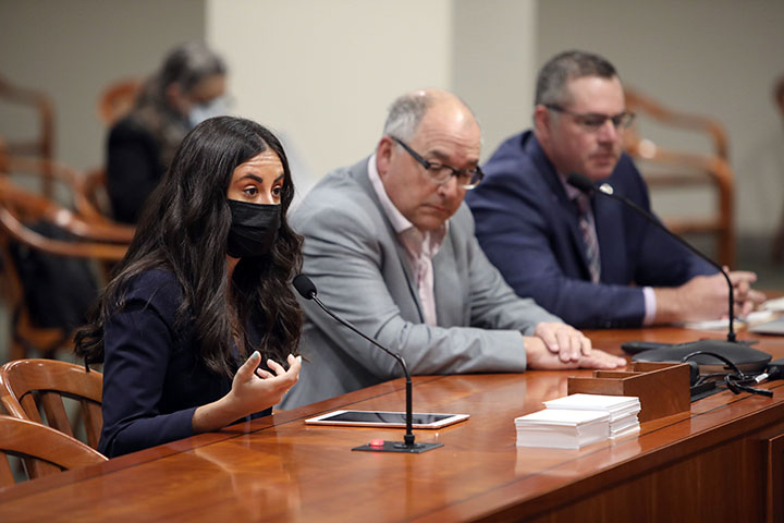 State Rep. Mari Manoogian (D-Birmingham) testified on HB 4277, which addresses distracted driving, in the House Judiciary Committee on April 13, 2021.