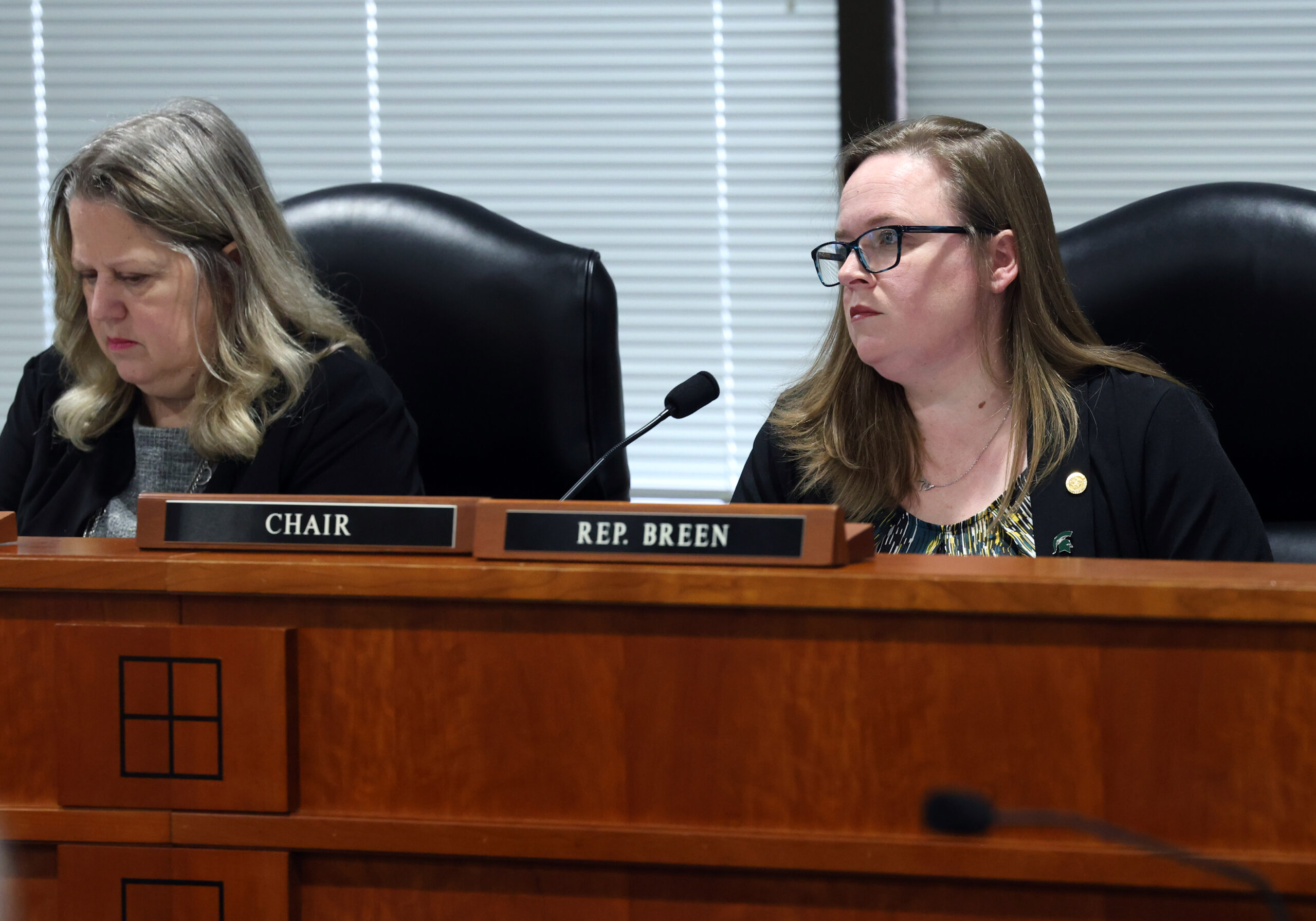 State Rep. Kelly Breen (D-Novi), right, listens to testimony as she chairs the House Judiciary Committee in the House Office Building in Lansing.