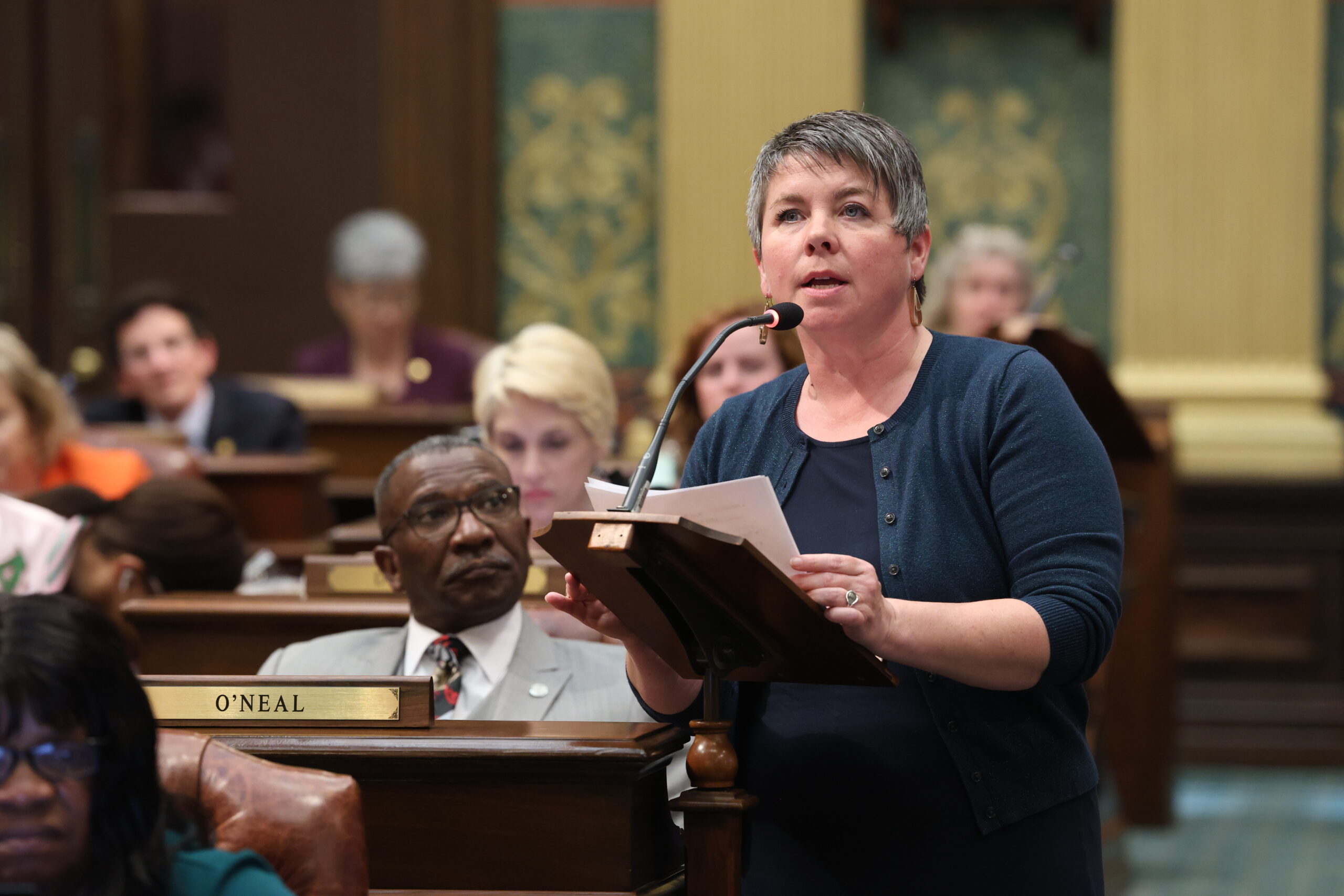 State Rep. Betsy Coffia (D-Traverse City) speaks on the House floor at the state Capitol in Lansing.