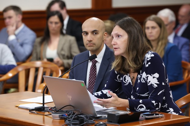 State Rep. Penelope Tsernoglou (D-East Lansing) testifies in support of legislation to expand automatic voter registration in the House Elections Committee on Sept. 26, 2023, in the House Office Building in Lansing.
