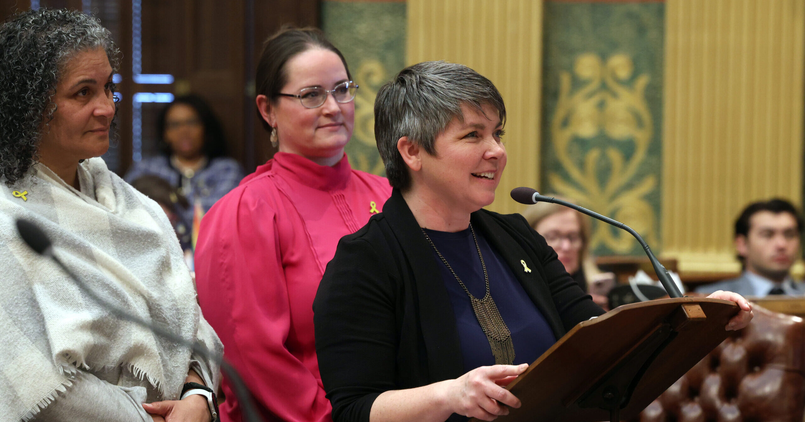 State Rep. Betsy Coffia speaks on the house floor surrounded by State Representived Felicia Brabec and Carrie Rheingans.