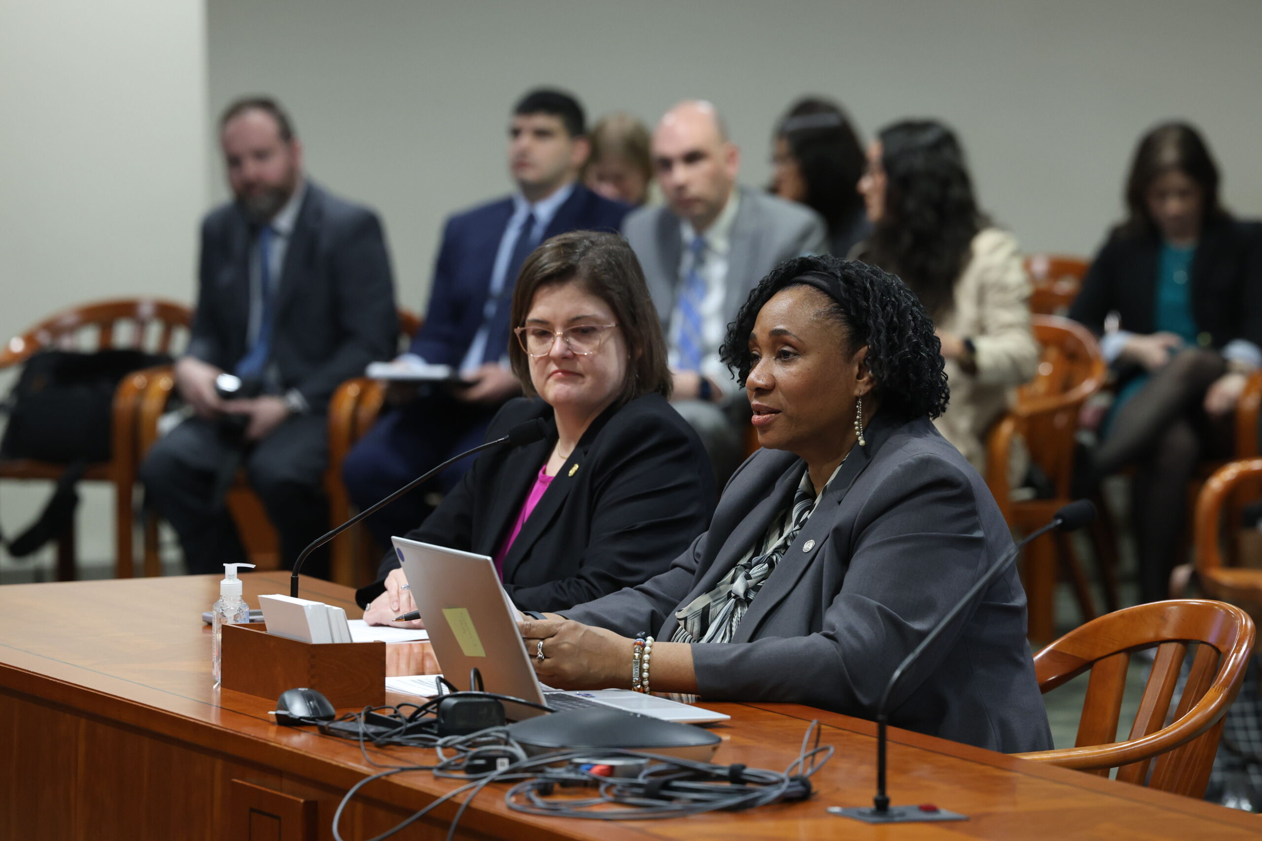 Reps. Young and Hope are seated at a table with microphones, giving testimony in the Health Policy Committee. 