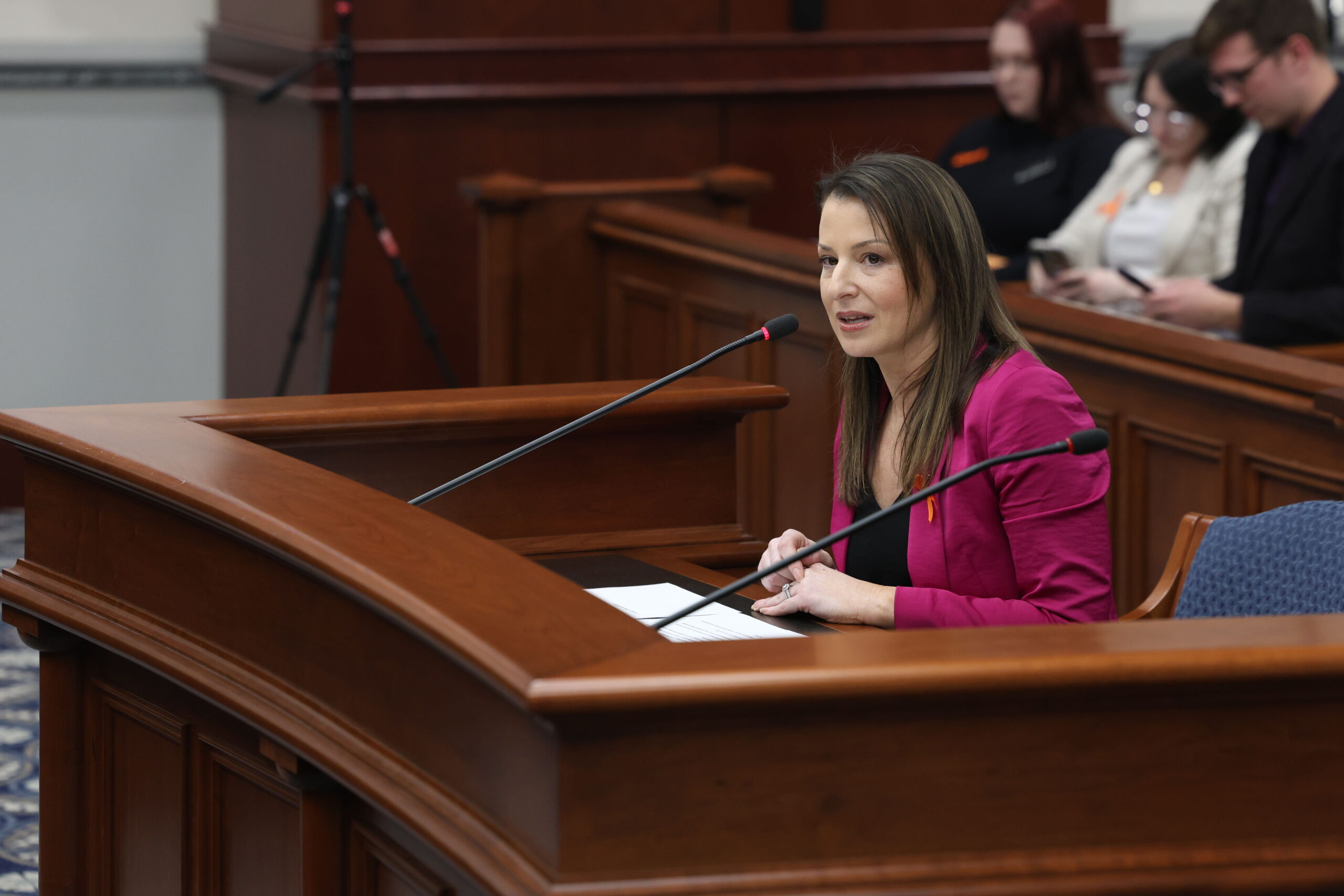 Samantha Steckloff (D-Farmington Hills) testifies in support of the Fertility Health Act bill package in the Senate Committee on Civil Rights, Judiciary, and Public Safety on March 7, 2024, in Lansing.