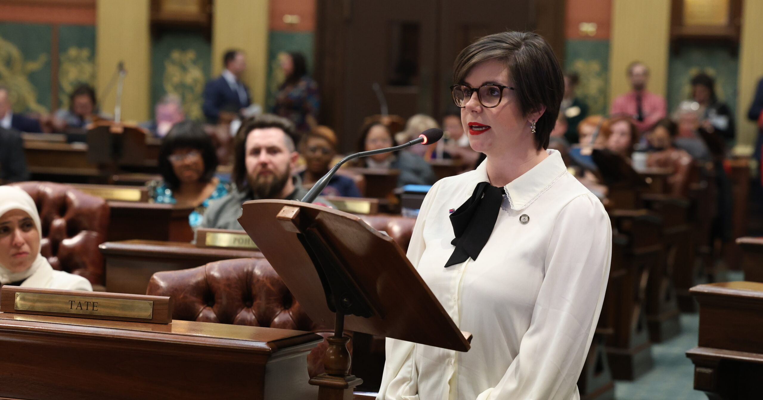 Michigan State Rep. Laurie Pohutsky stands and speaks on the House Floor.