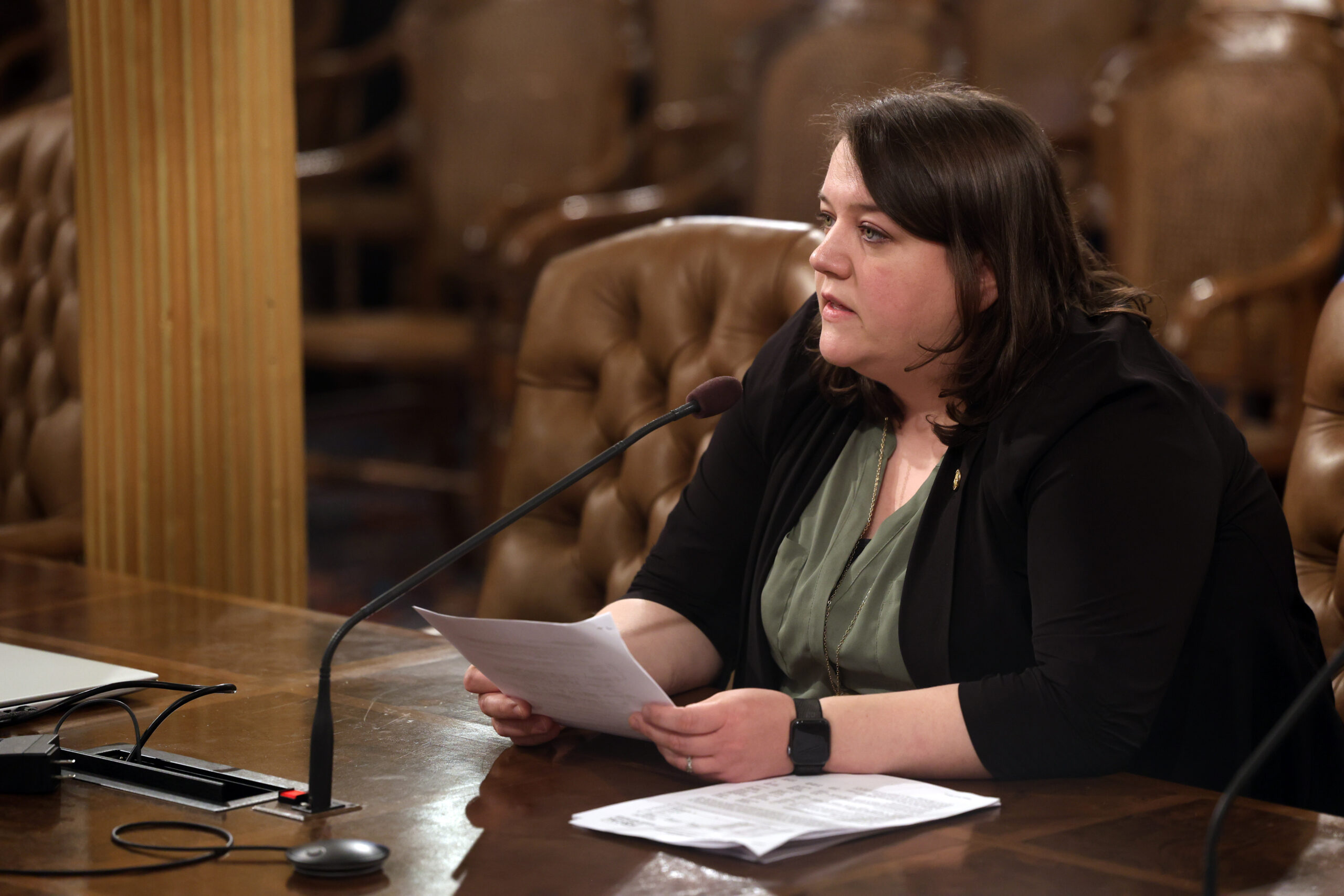 A photo of state Rep. Regina Weiss presenting her bill in the House Appropriations Committee.