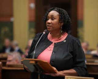 Rep. Young speaking on house floor.