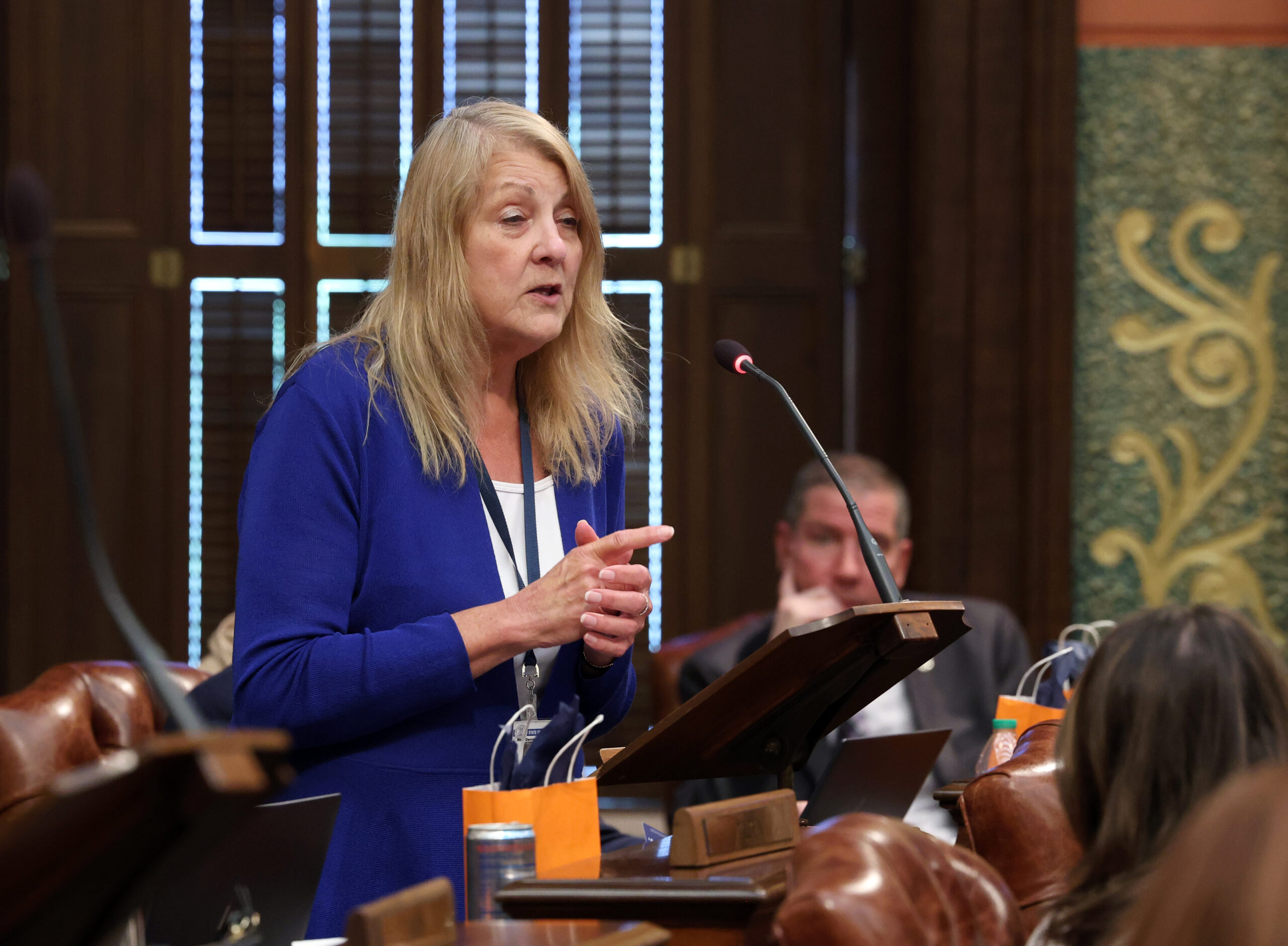 State Rep. Denise Mentzer (D-Mt. Clemens) delivers a speech on the House floor.
