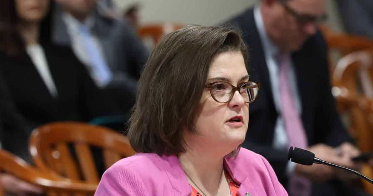Michigan State Representative Kara Hope sits and testifies in committee.