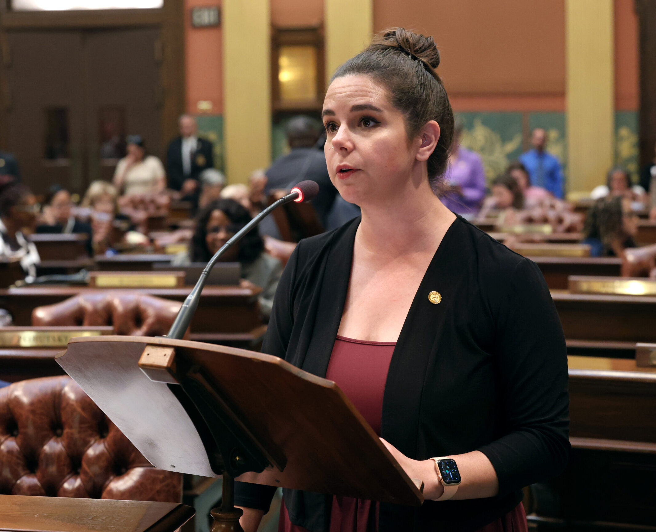 Speaker Pro Tempore Laurie Pohutsky (D-Livonia) speaks on the House Floor on June 13, 2024, in the state Capitol in Lansing.