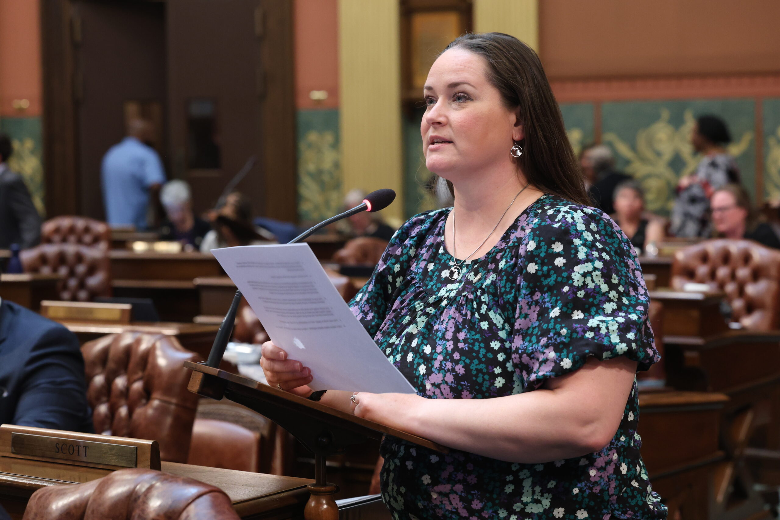 State Rep. Carrie Rheingans (D-Ann Arbor) delivers a floor speech in the Michigan State Capitol in Lansing, June 13, 2024.