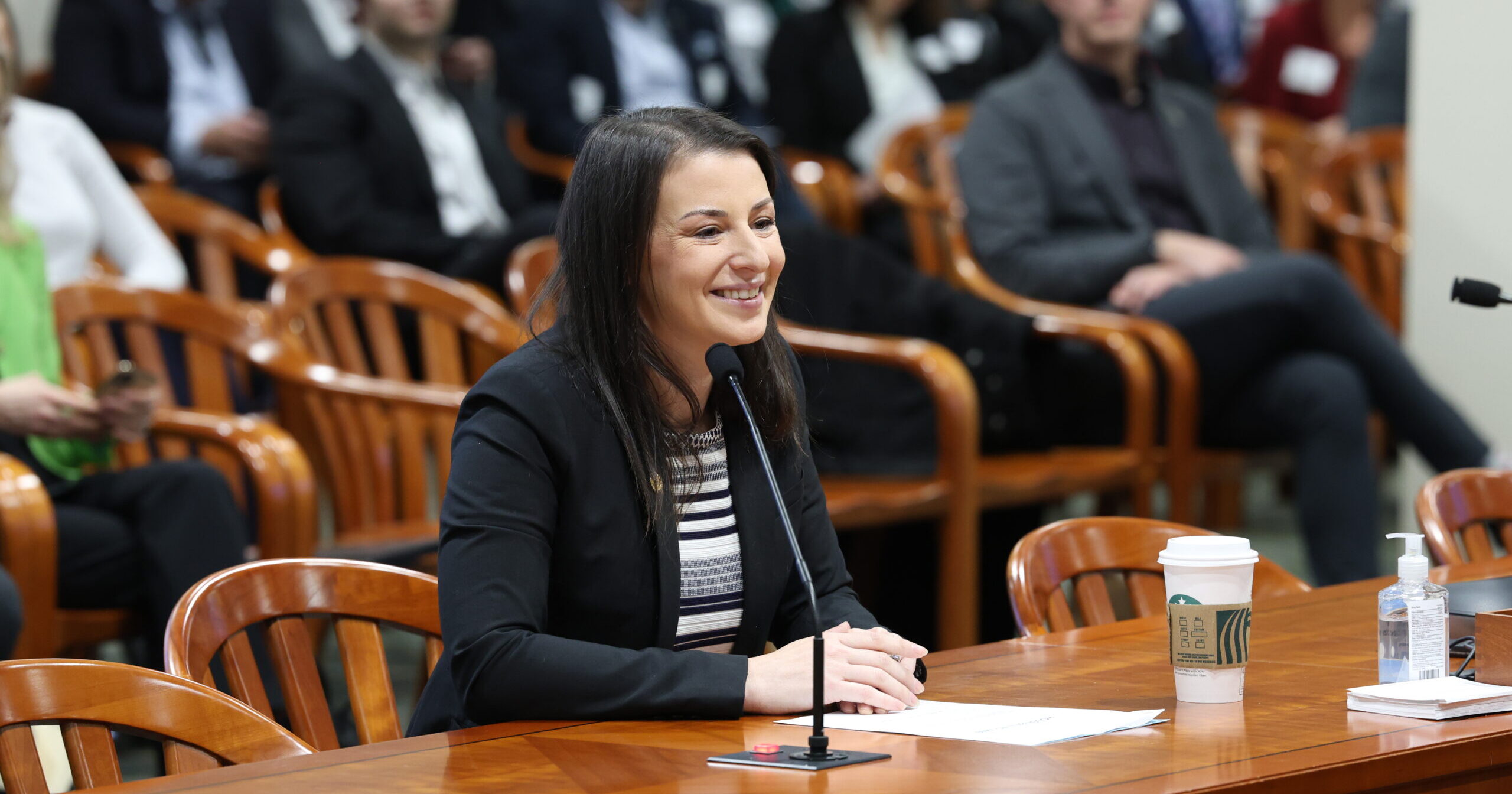 Michigan state Representative Samantha Steckloff speaking at a Health Policy committee meeting on her House Bill 4409.