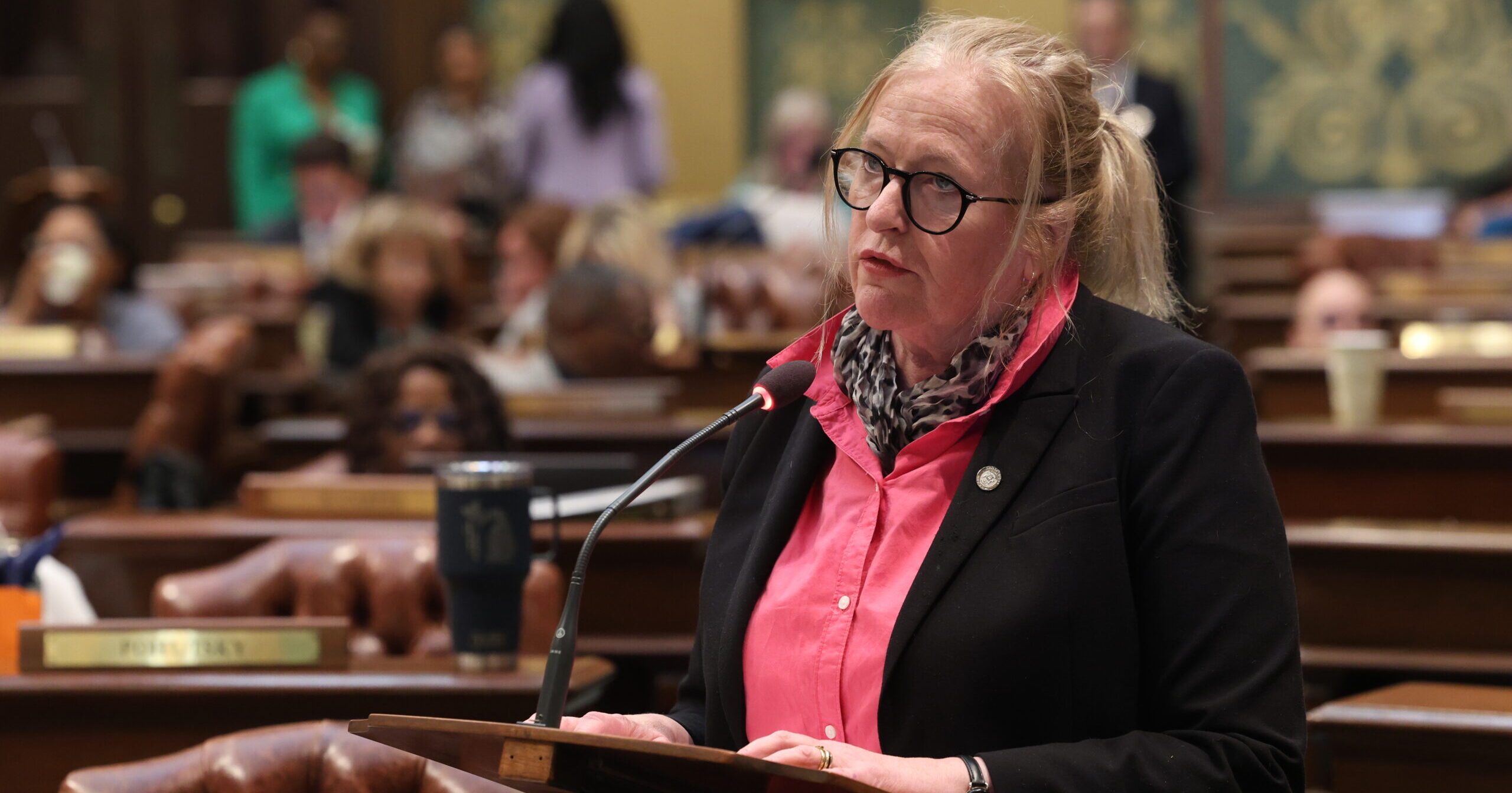 Rep. Conlin speaking on House floor.