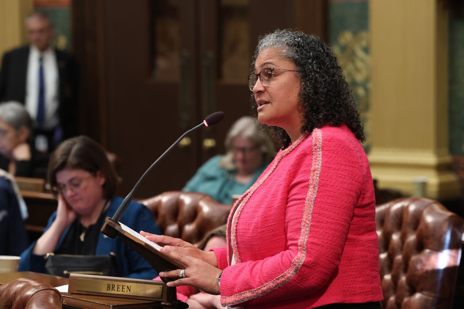 Michigan state Representative Felicia Brabec speaks about the budget on the House floor in Lansing.