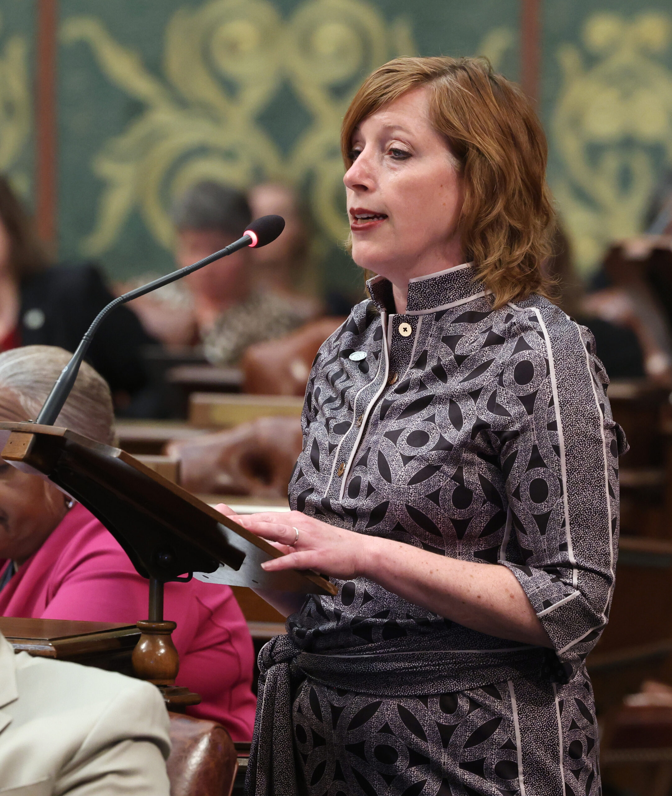 State Rep. Julie Rogers (D-Kalamazoo) stands to deliver a speech on the House floor at the Capitol Building in Lansing on June 11, 2024.