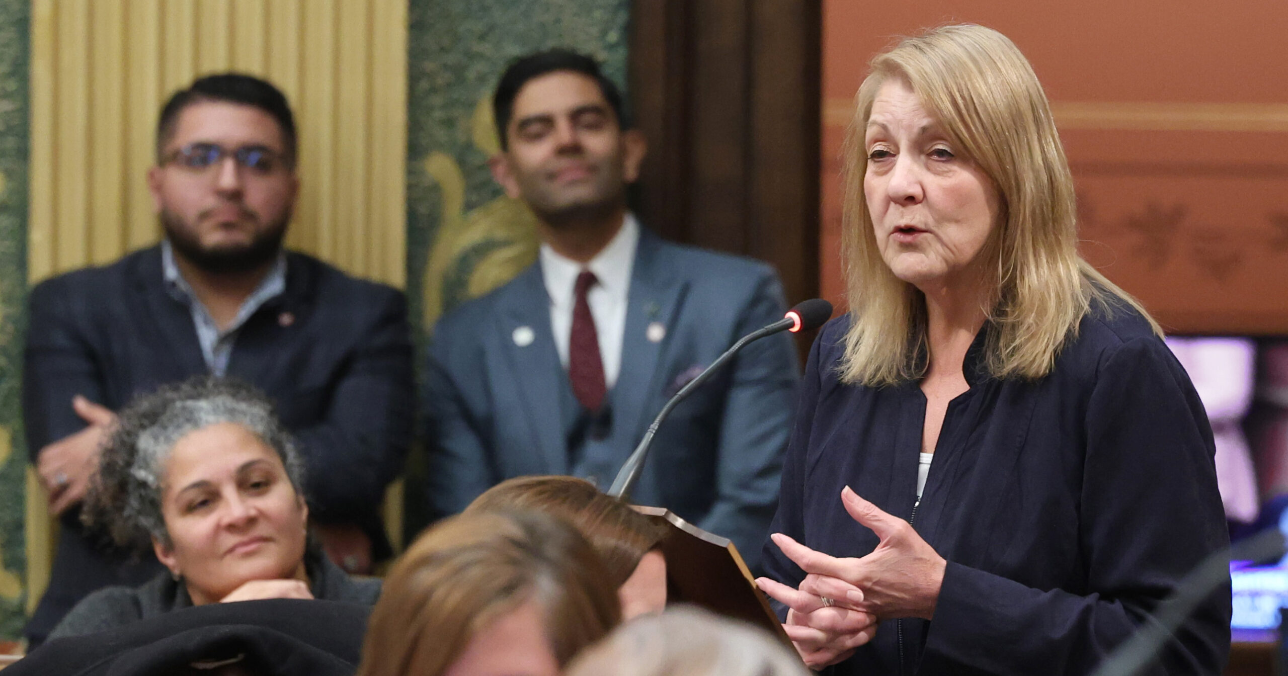 Michigan State Representative Denise Mentzer speaks on the House floor.