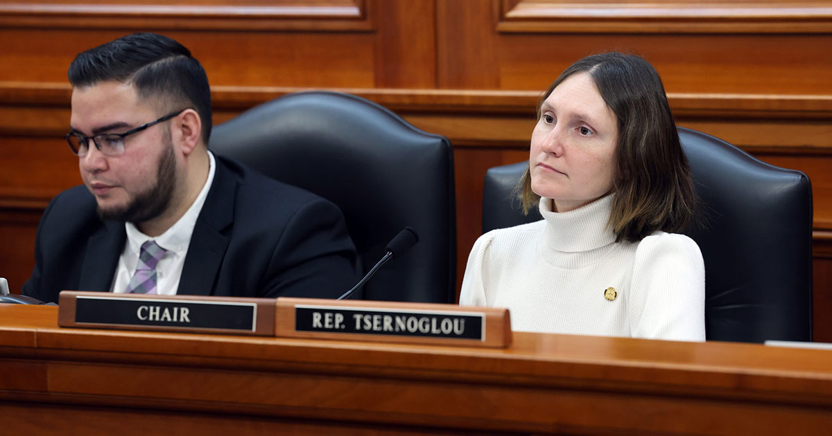 State Rep. Penelope Tsernoglou (D-East Lansing) chairs the House Elections Committee meeting on Jan. 31, 2023 at the Anderson House Office Building.