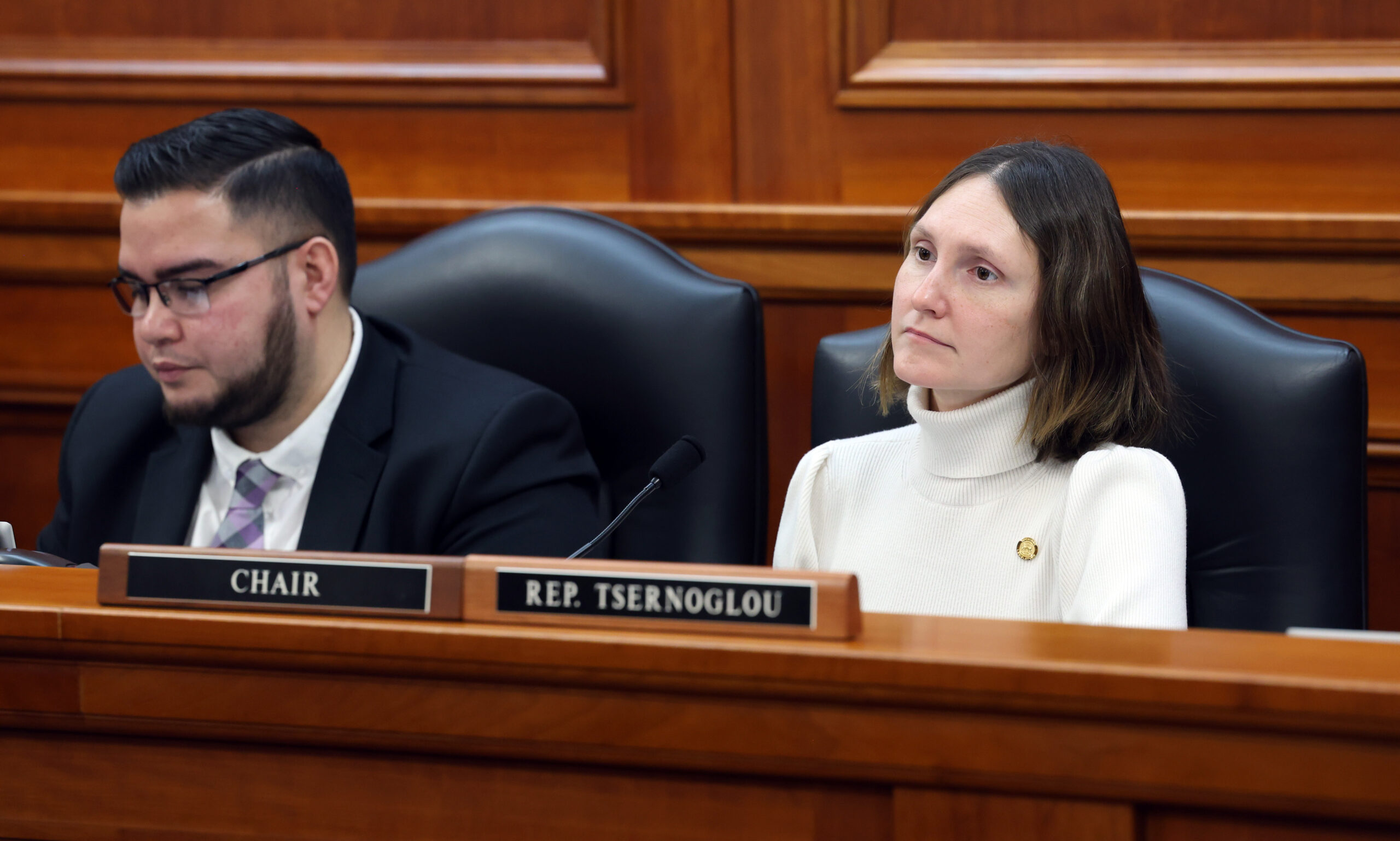 Michigan State Representative Peneleope Tsernoglou chairs a meeting of the House Elections Committee.