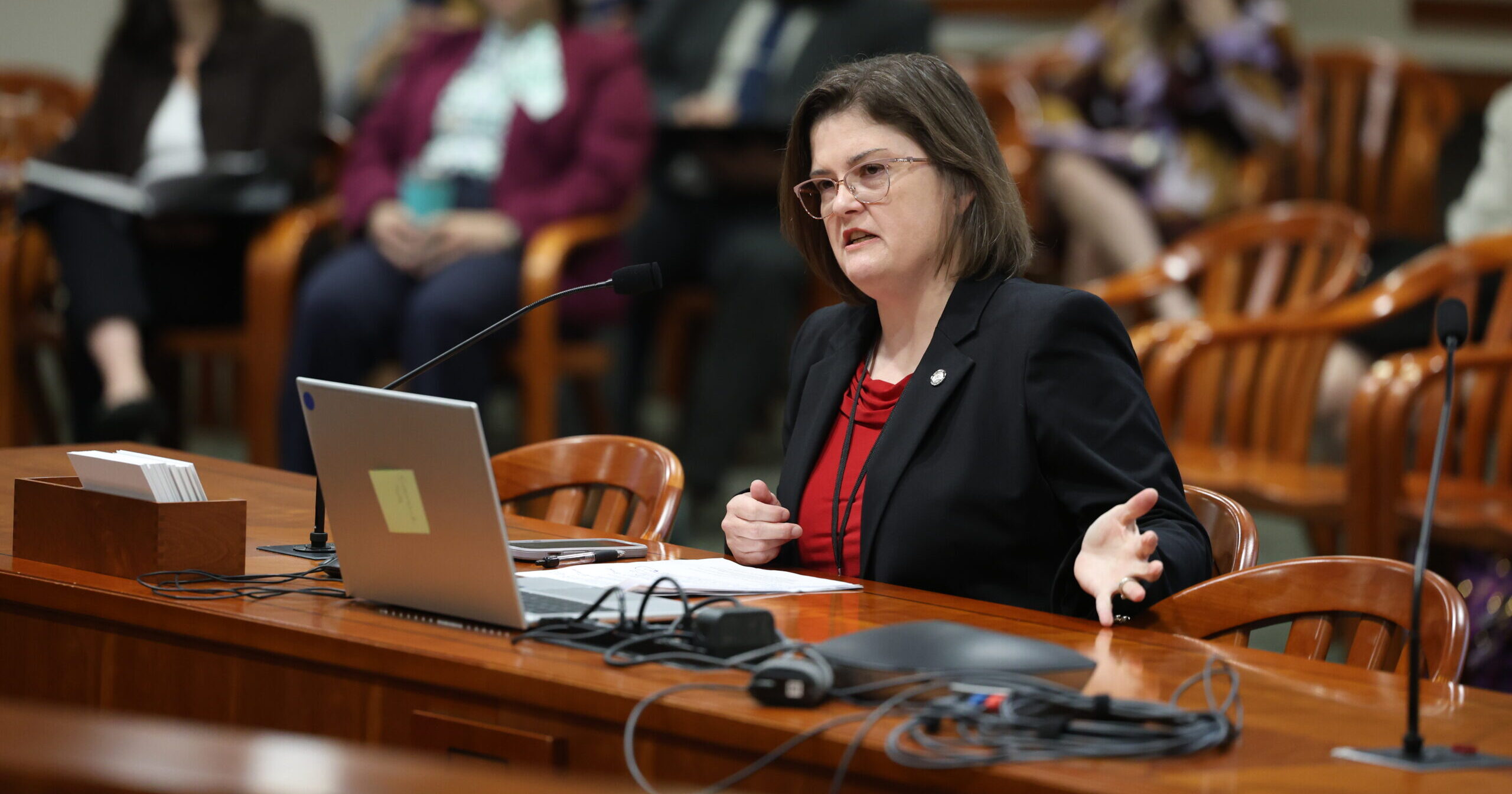 Michigan State Representative Kara Hope testifies at the House Criminal Justice Committee