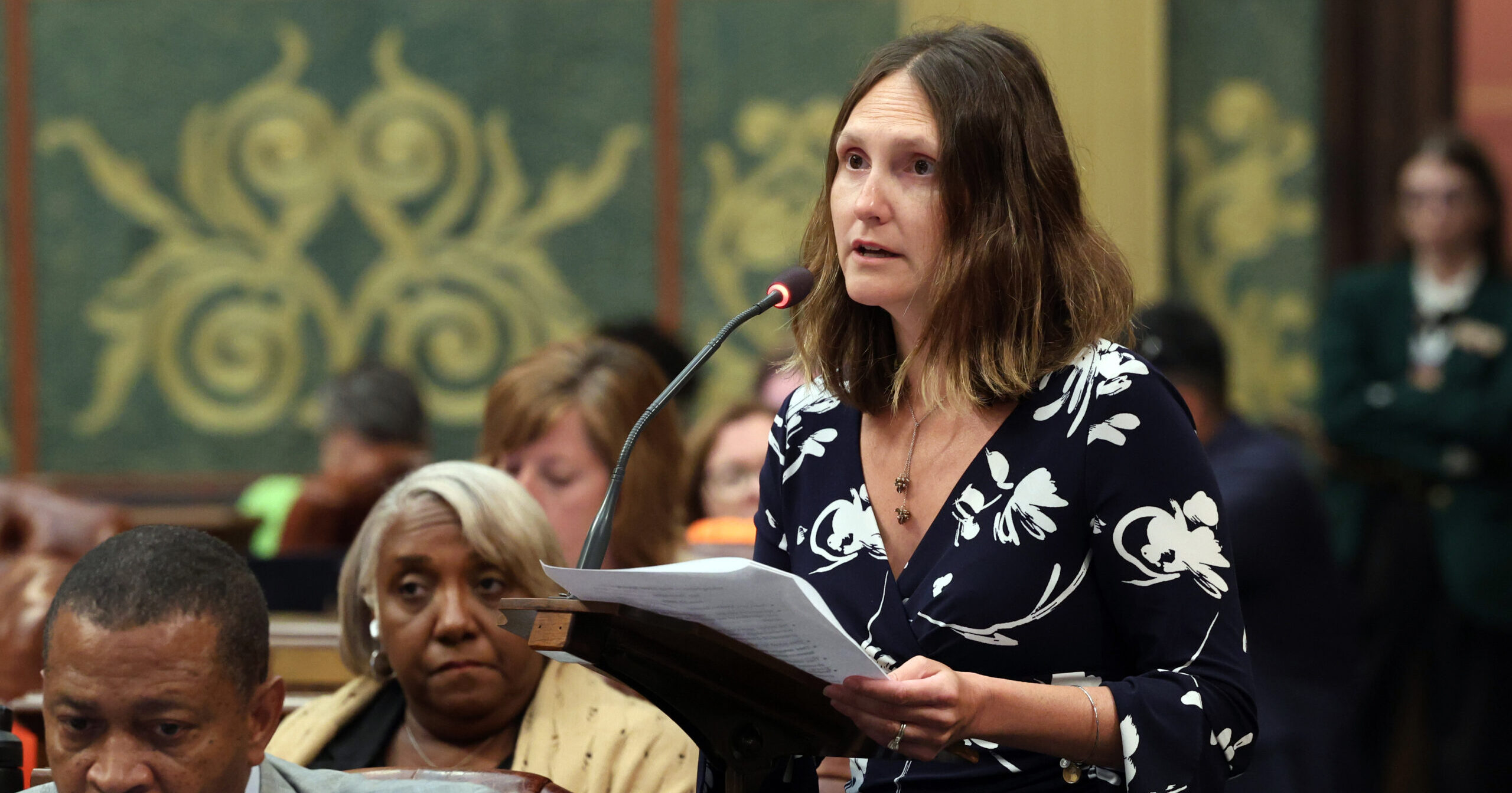 Michigan State Representative Penelope Tsernoglou speaks on the House floor.