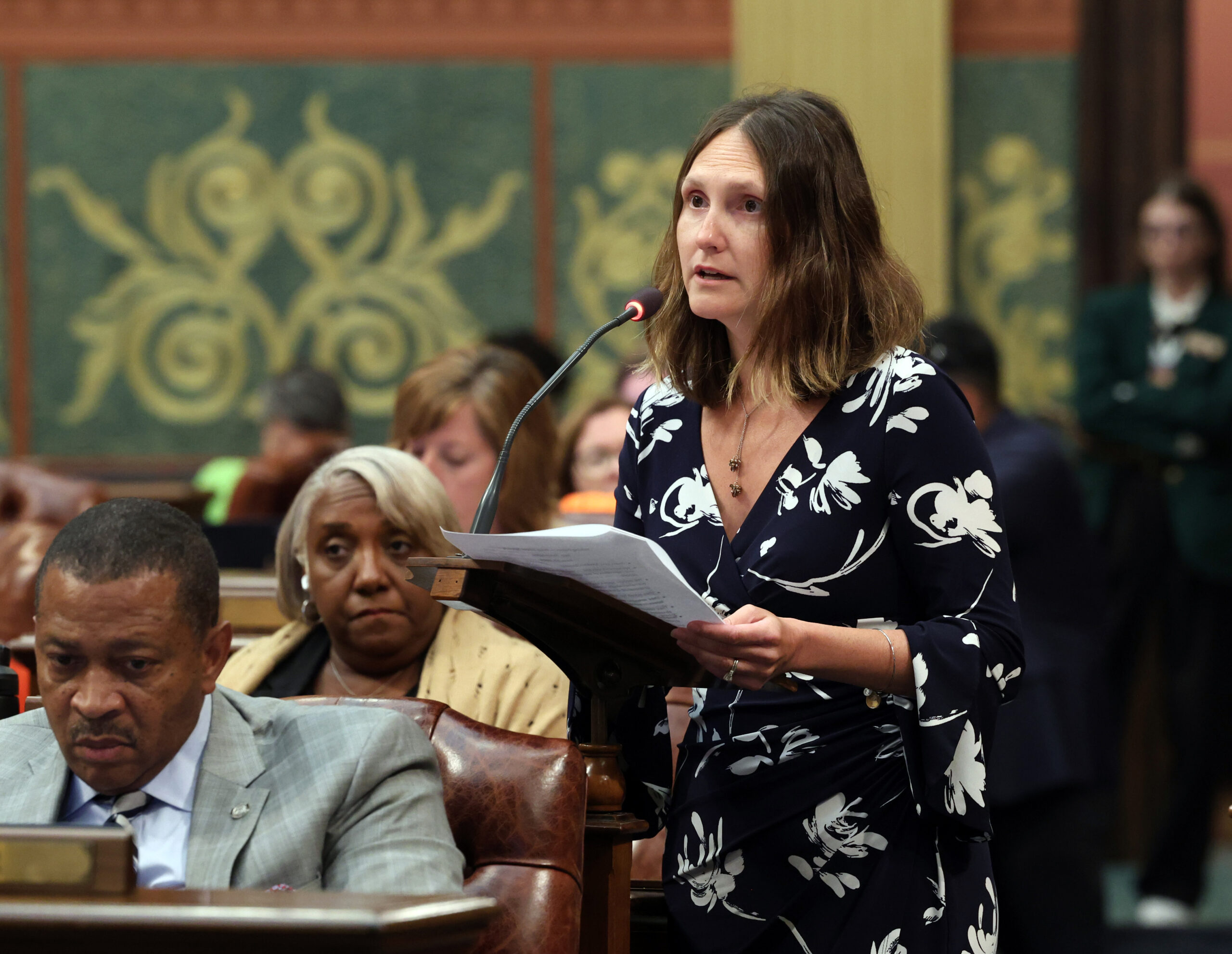 Michigan State Representative Penelope Tsernoglou speaks on the House floor.