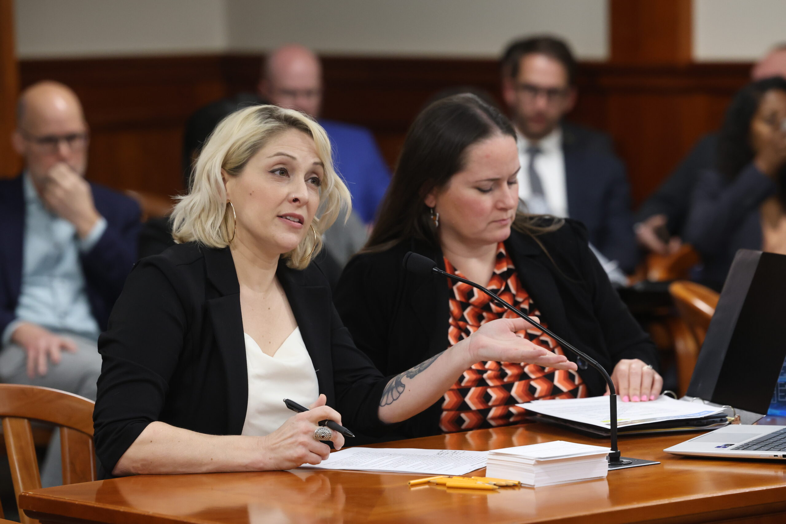 Michigan State Representative Emily Dievendorf testifies in House Committee.