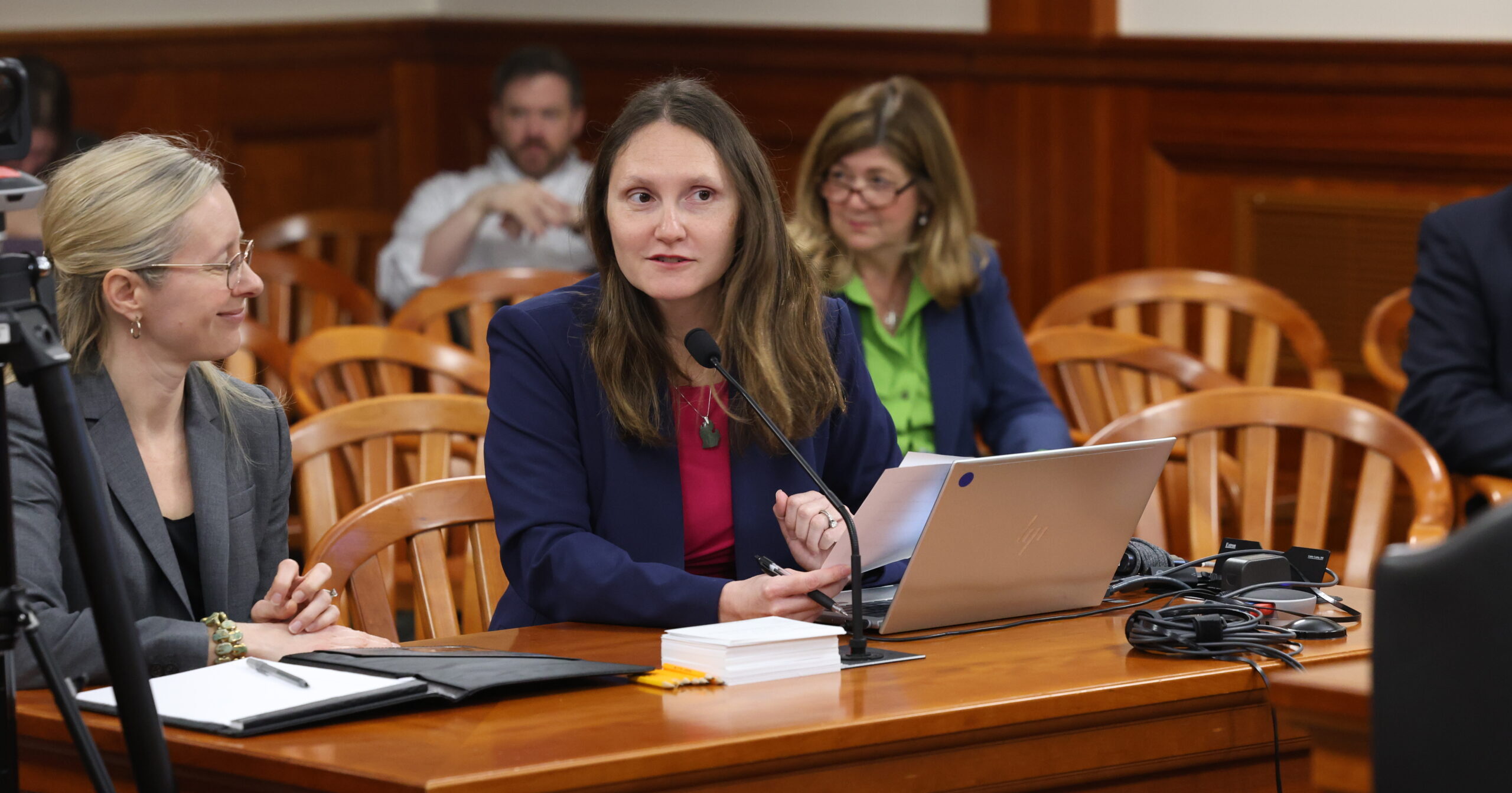 Michigan State Representative Penelope Tsernoglou testifying in the House Elections Committee.