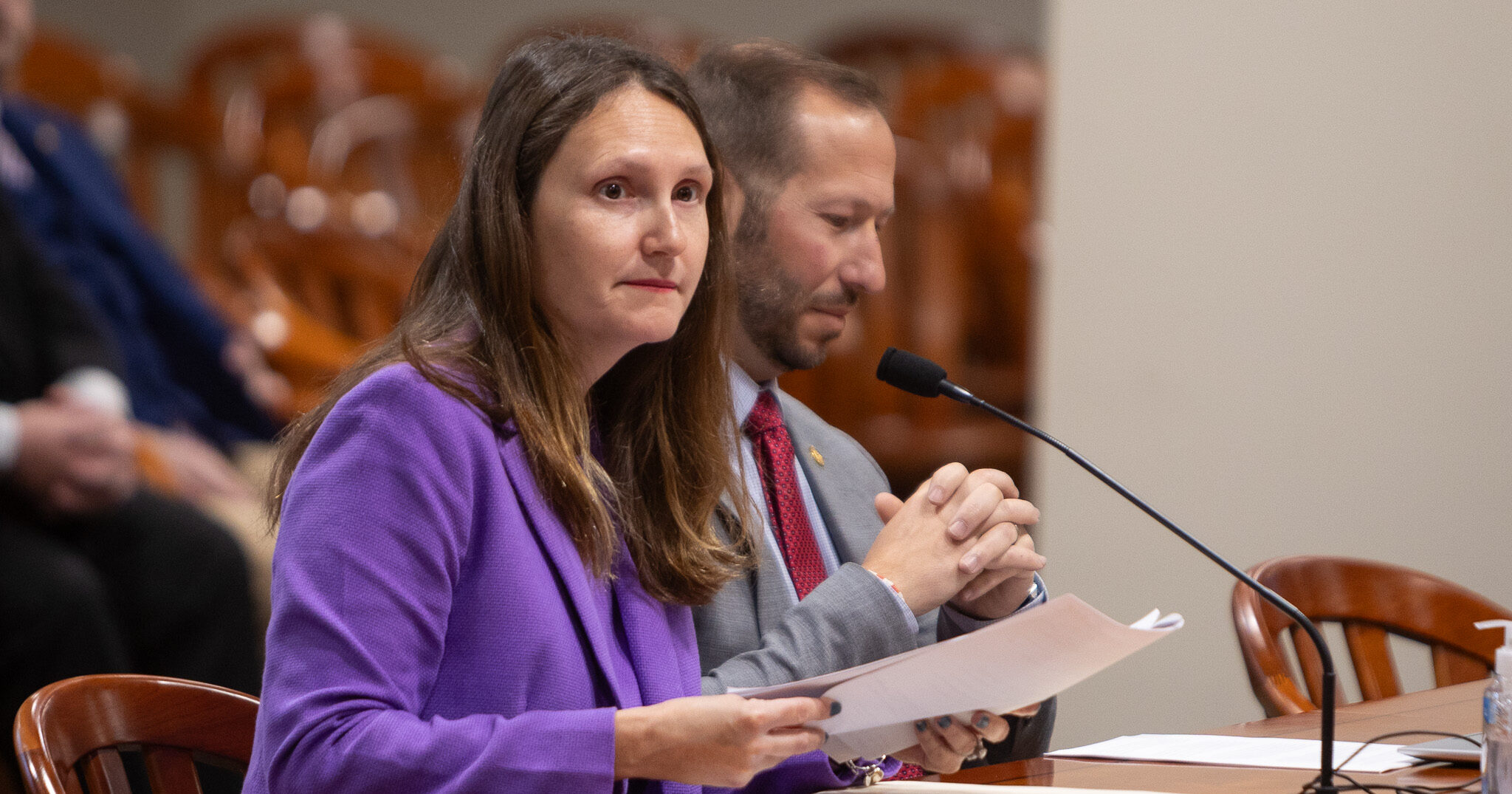 Michigan State Representative Penelope Tsernoglou testifies in the House Criminal Justice Committee.