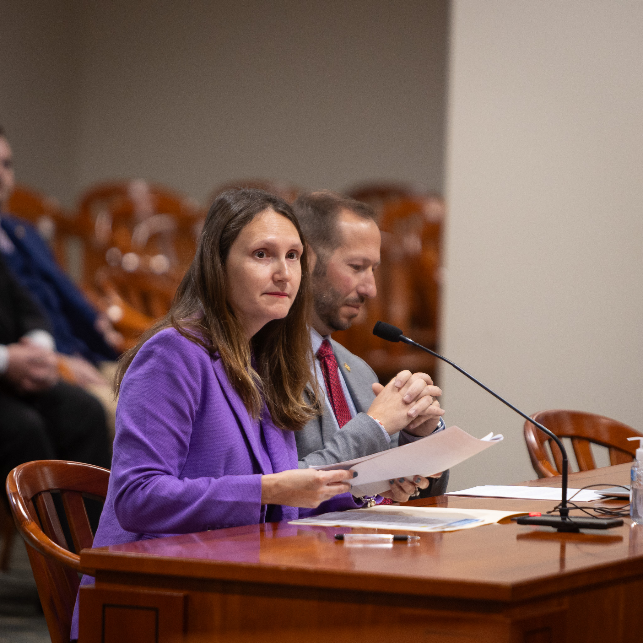 Michigan State Representative Penelope Tsernoglou testifies in the House Criminal Justice Committee.