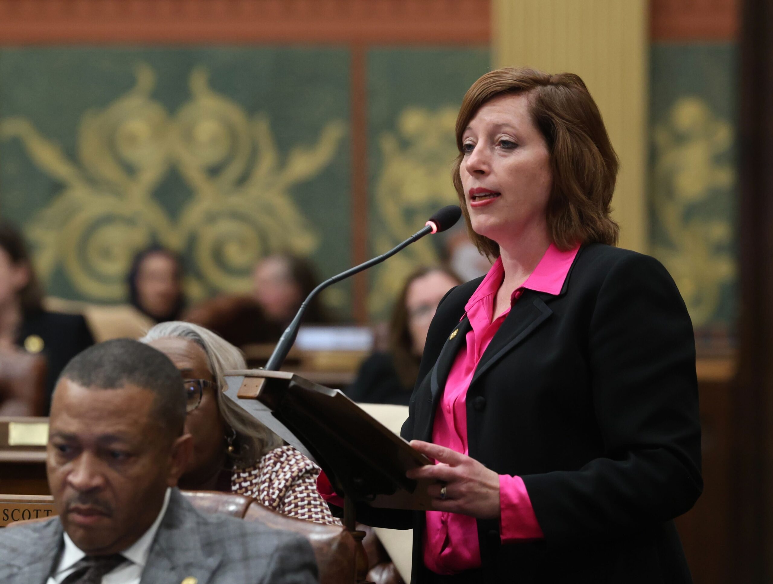 Michigan State Representative Julie M. Rogers speaks on the House floor.