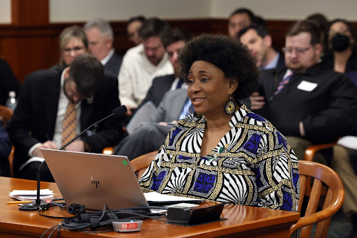 State Representative Stephanie A. Young testifies in the Election Committee on House Bill 4128.