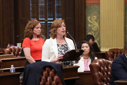 State Rep. Julie M. Rogers speaking on the House floor.