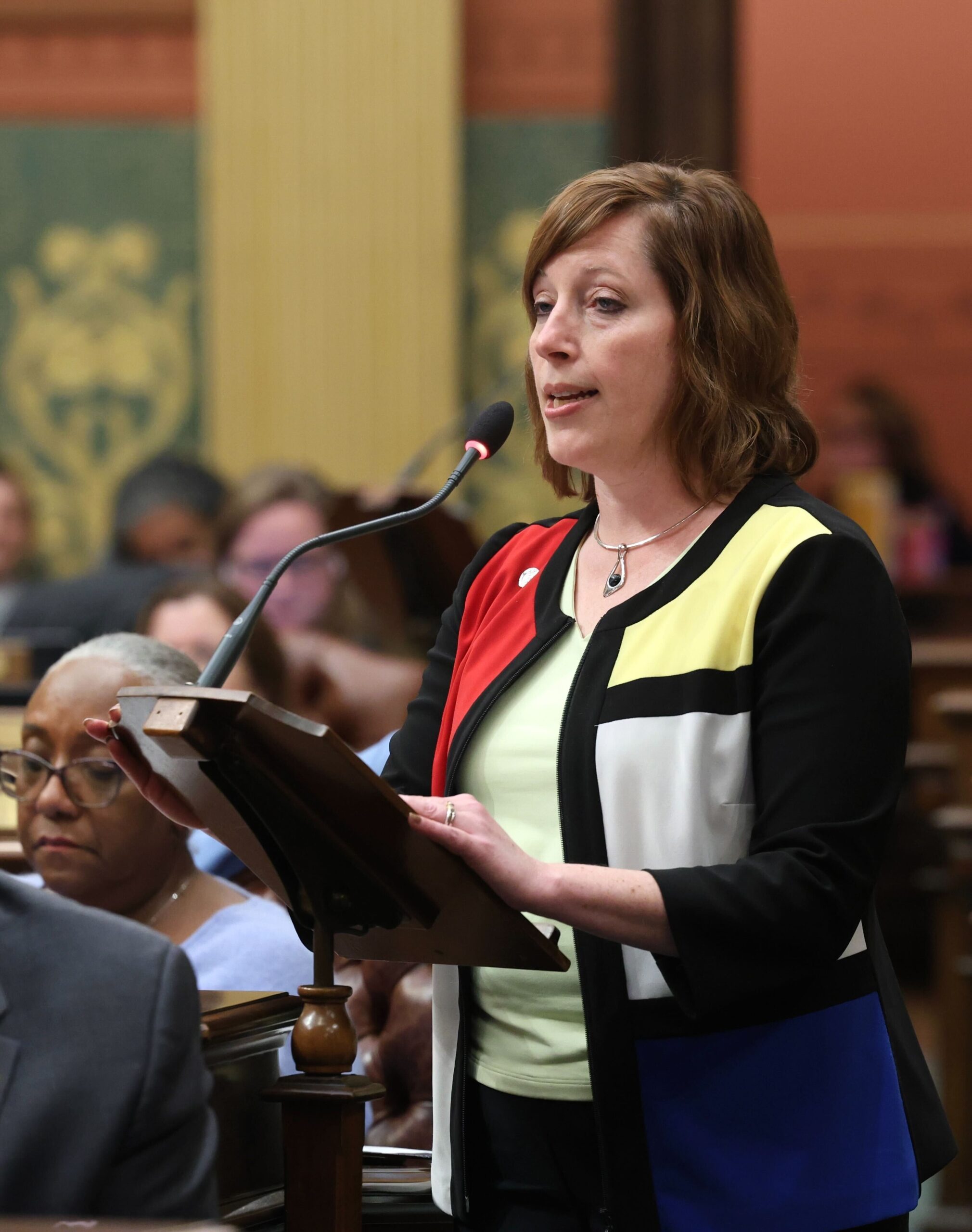 Michigan State Representative Julie Rogers speaks on the House floor.