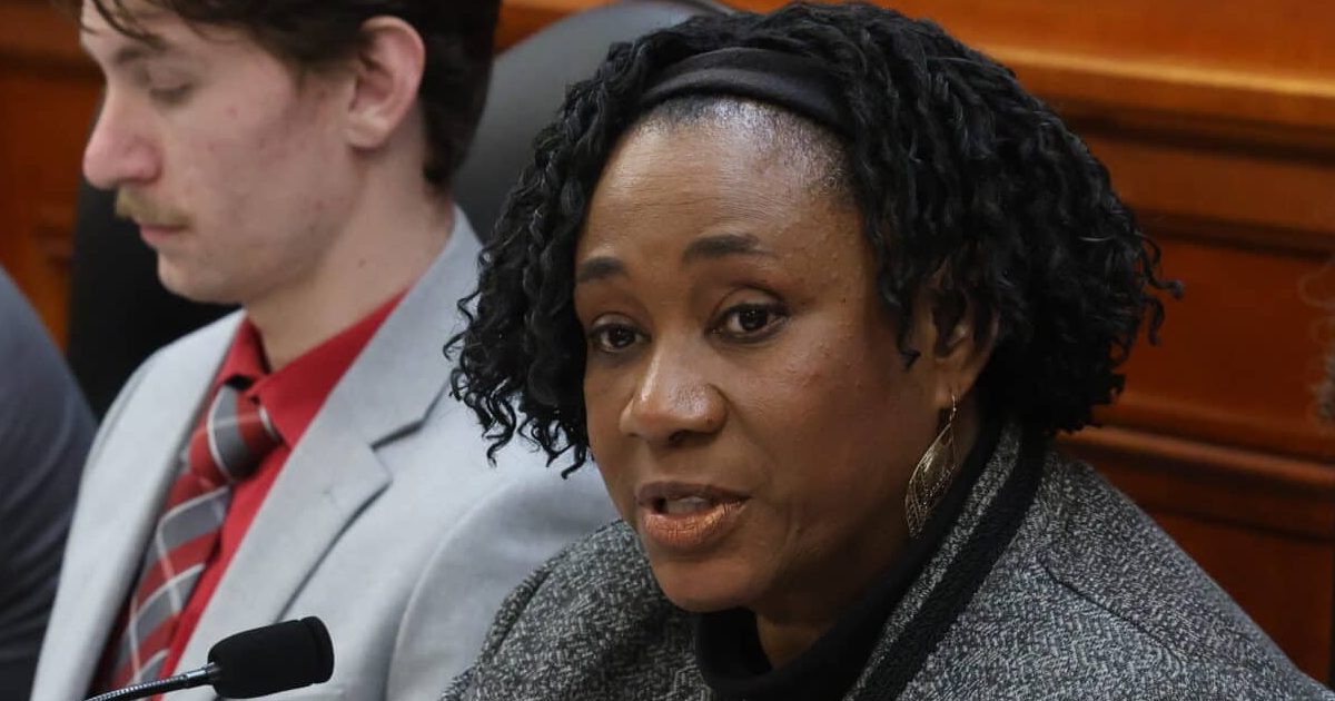 Michigan State Representative Stephanie A. Young sitting as chair of the House Families, Children and Seniors Committee at the Anderson House Office Building in Lansing.