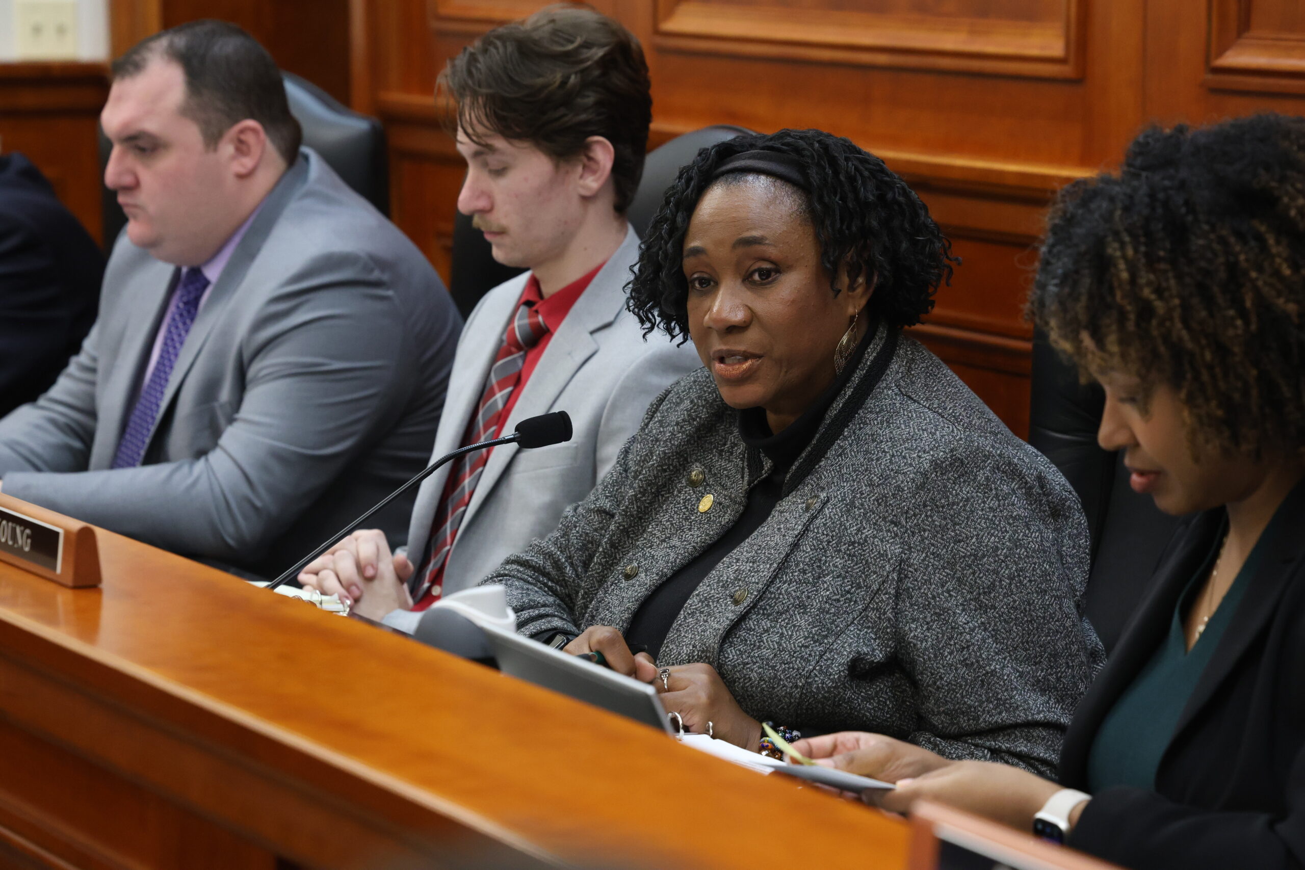 Michigan State Representative Stephanie A. Young sitting as chair of the House Families, Children and Seniors Committee at the Anderson House Office Building in Lansing.