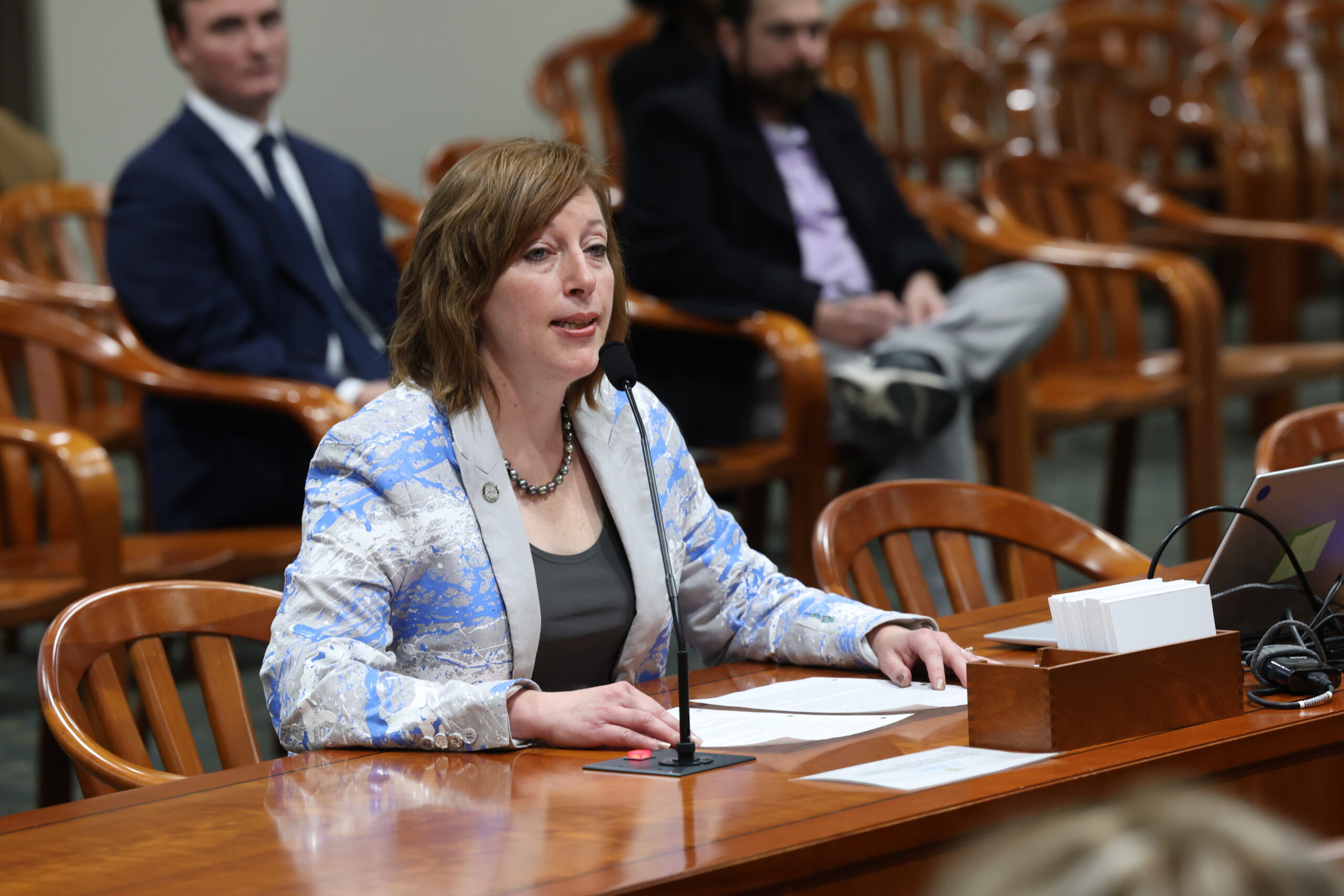 Michigan State Representative Julie M. Rogers testifies in a House Committee.