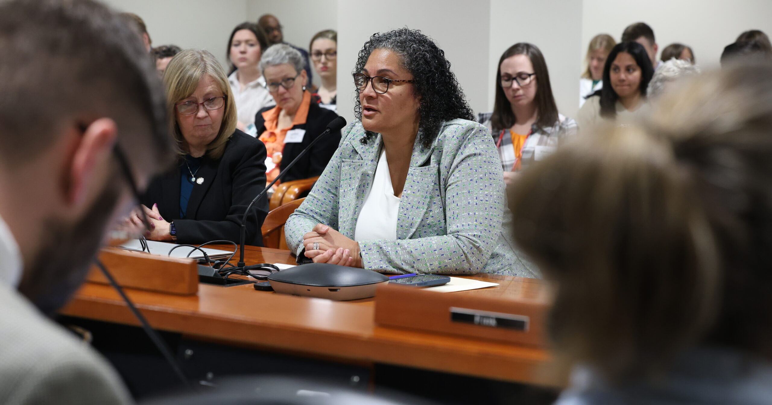 Michigan State Representative Felicia Brabec speaking to the committee