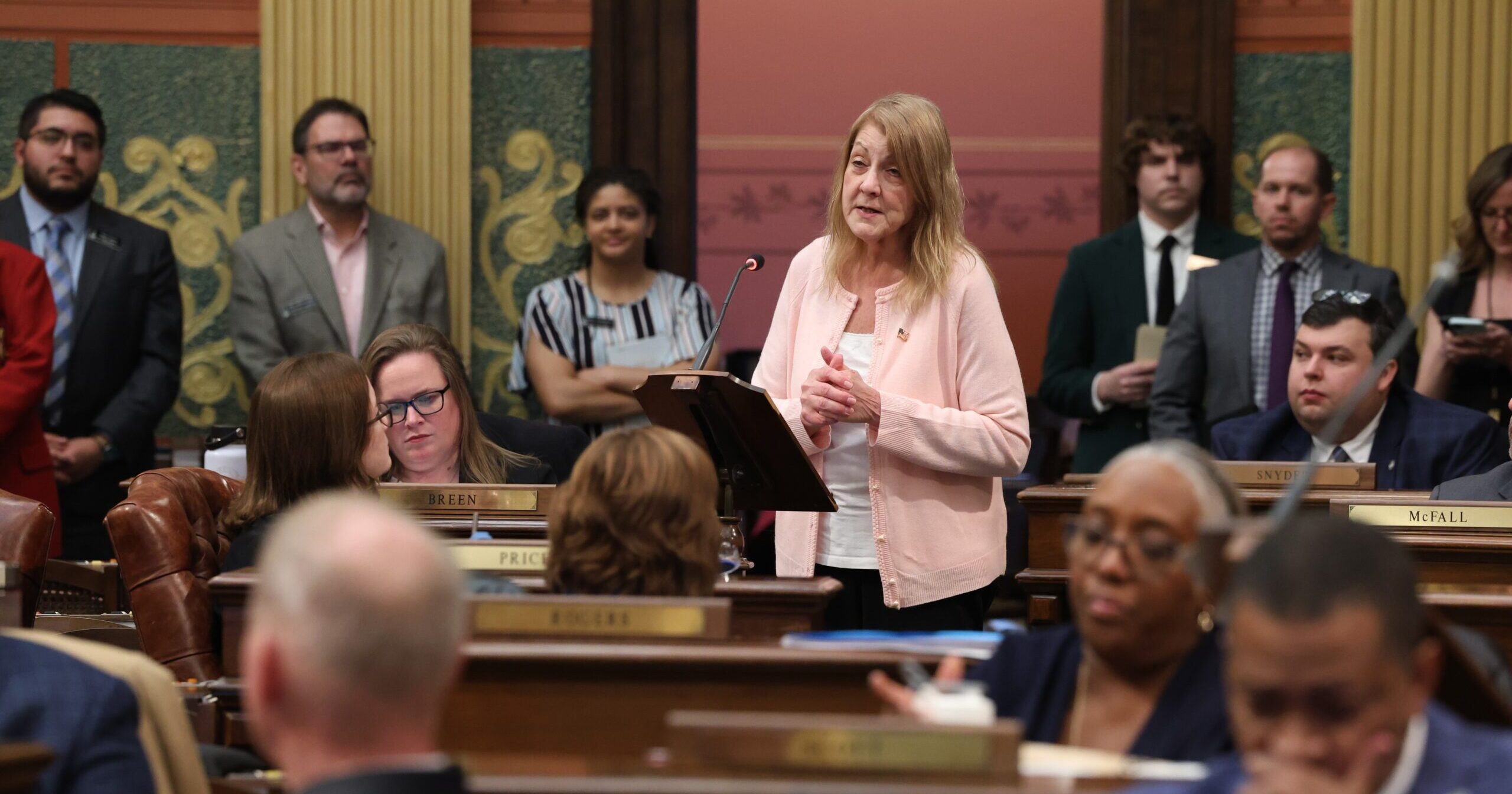 Michigan State Representative Denise Mentzer speaking on the House Floor.