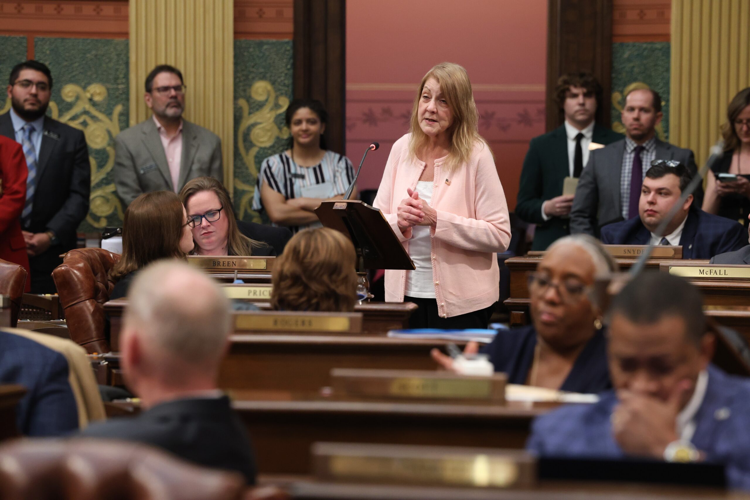 Michigan State Representative Denise Mentzer speaking on the House Floor.