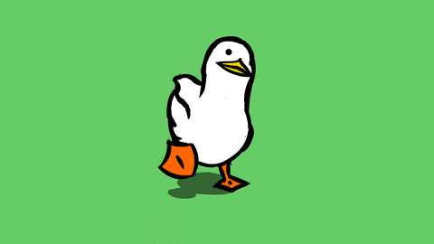 White ducking taking a step behind a bright green background