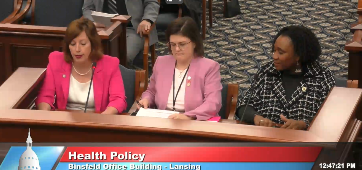 Michigan State Representatives Julie Rogers, Kara Hope and Stephanie Young testify in a Senate committee.