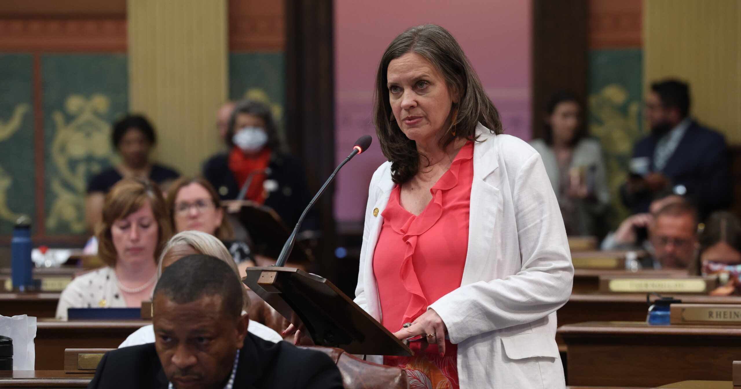 Michigan state Rep. Carol Glanville speaks on the House floor during the 102nd Legislature.