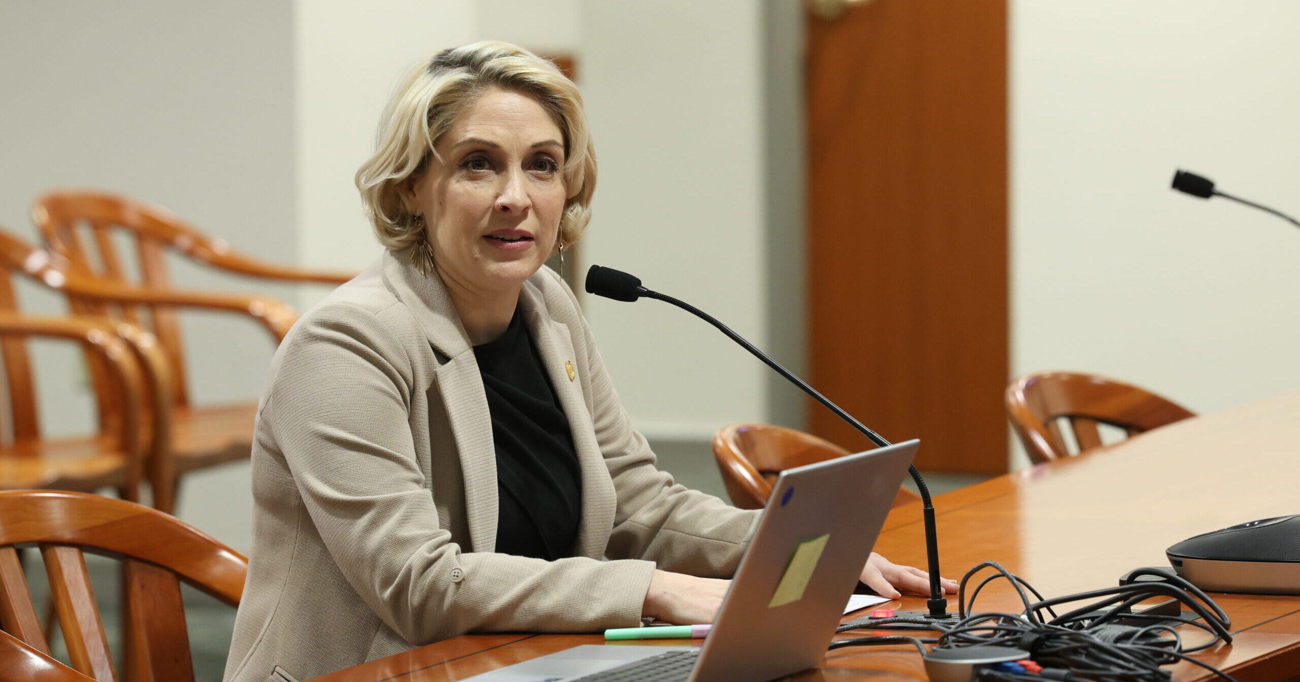 Michigan state rep. Emily Dievendorf testifies during a committee hearing.