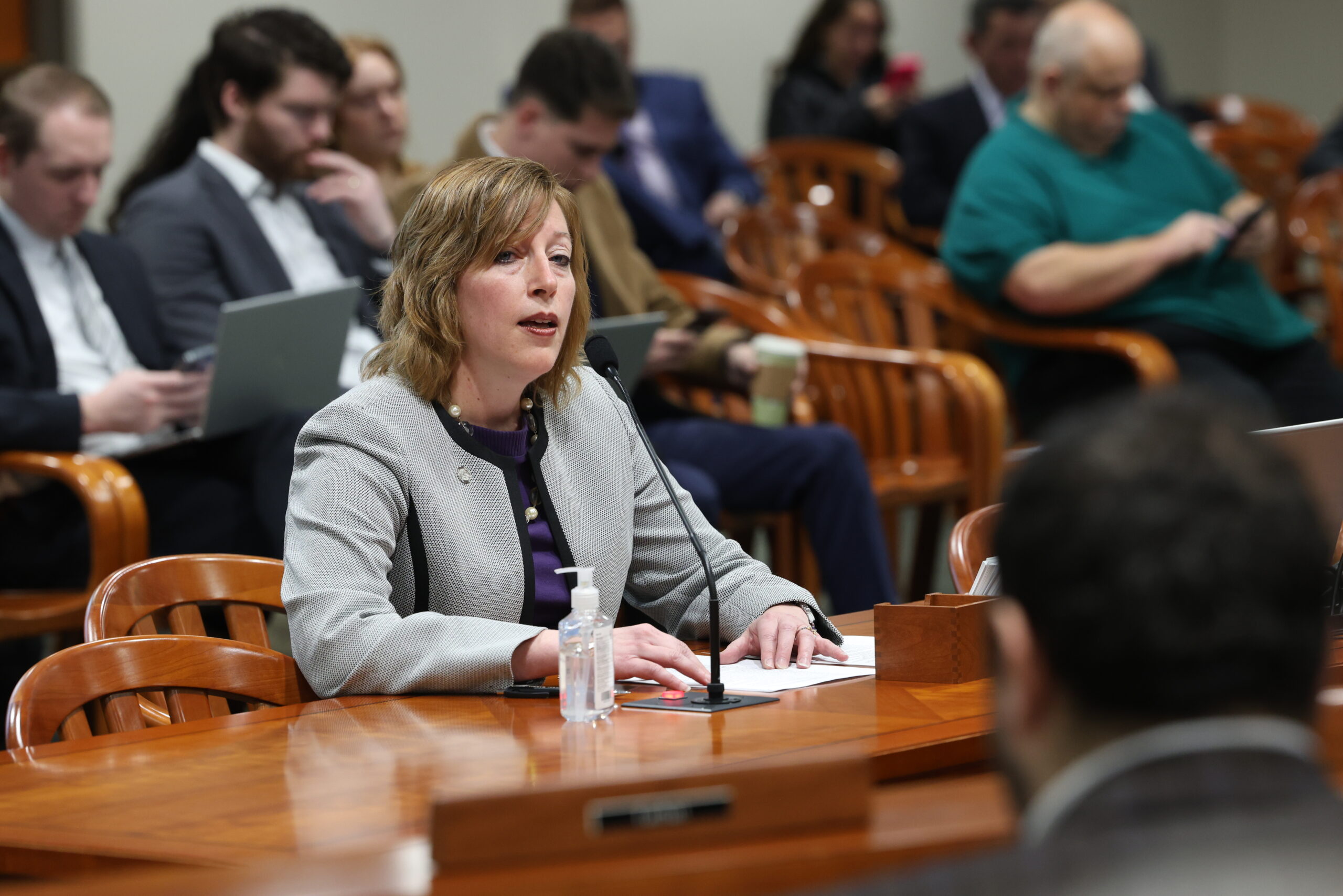 Michigan State Representative Julie Rogers testifies in a House committee.