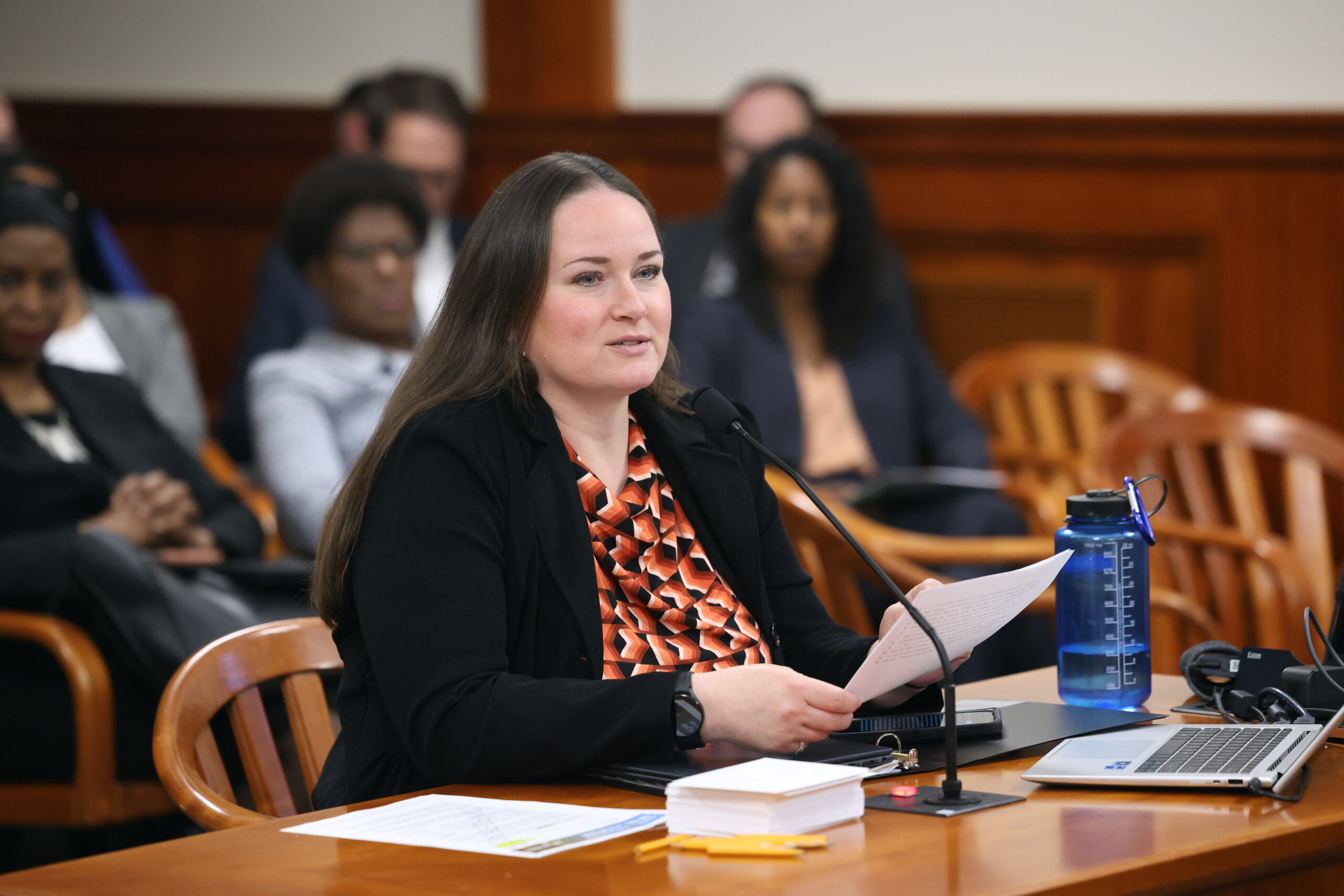 Michigan State Representative Carrie Rheingans testifies in a House committee.