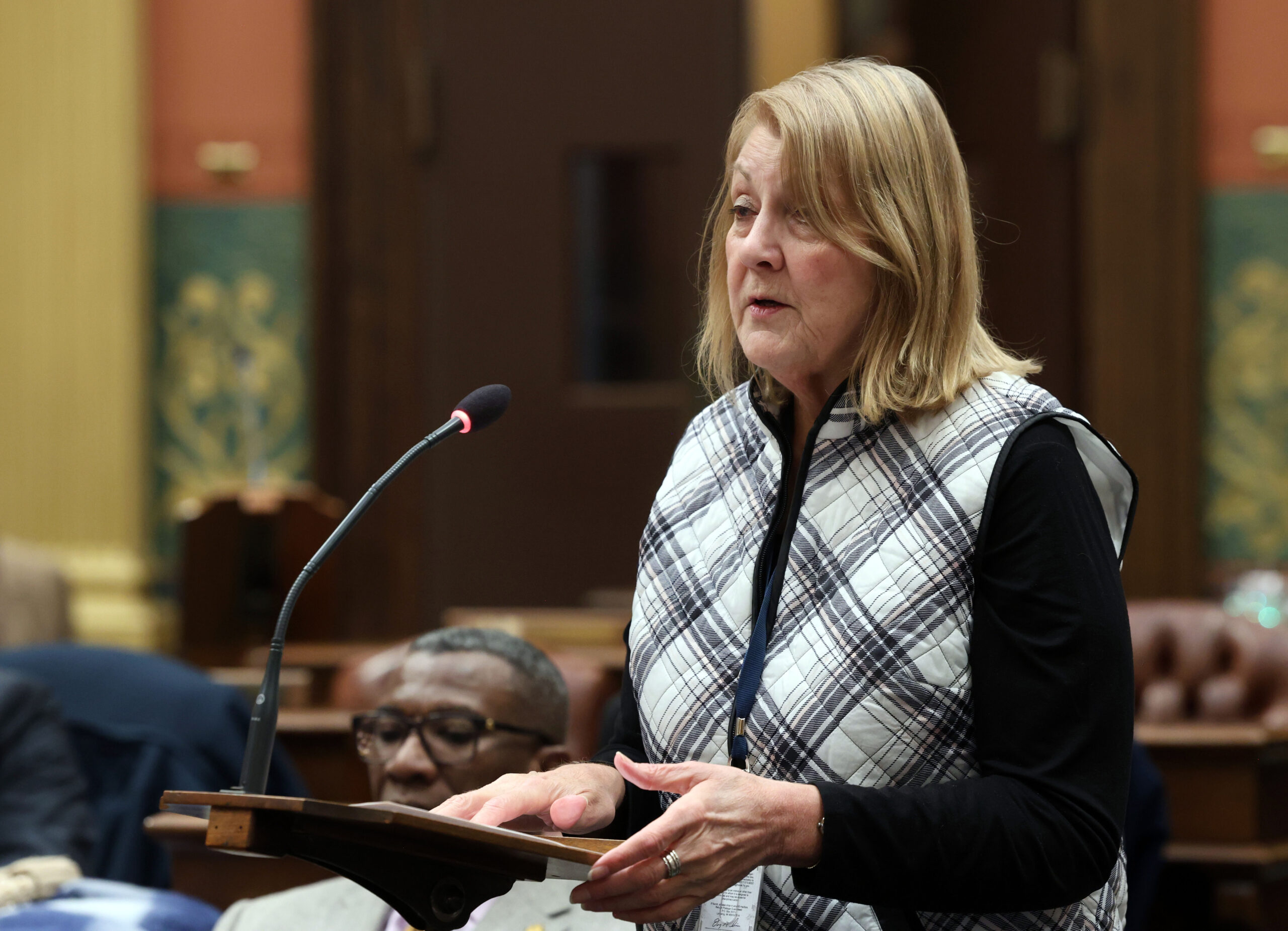 Michigan State Representative Denise Mentzer speaks on the Houe floor.