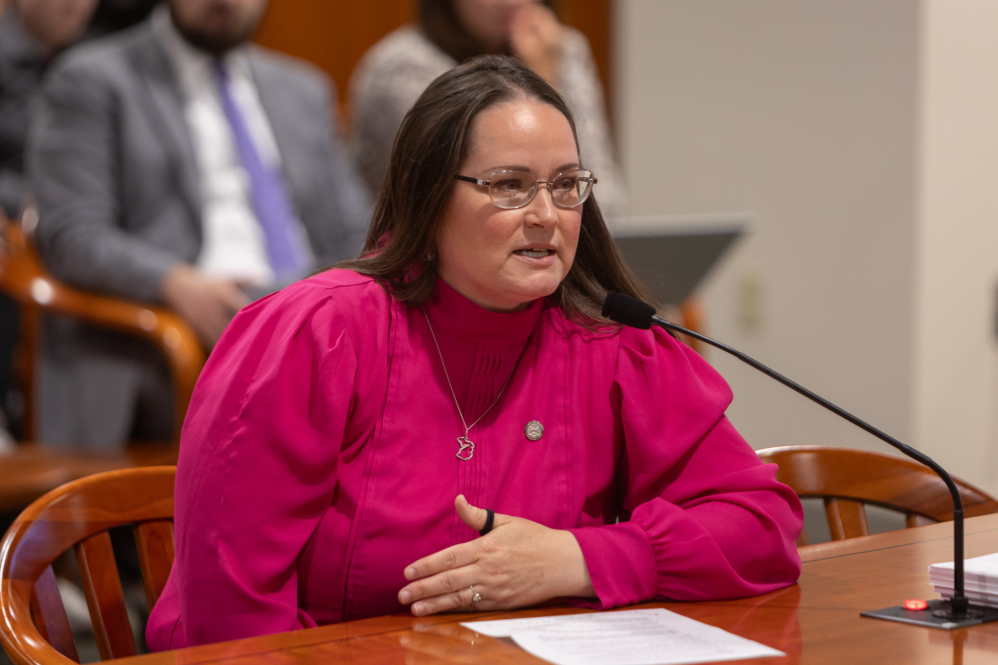 Michigan State Representative Carrie Rheingans testifies in a House committee.