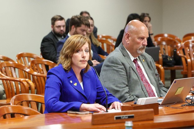 Michigan State Representative Julie Rogers testifies in the House Health Policy Committee.