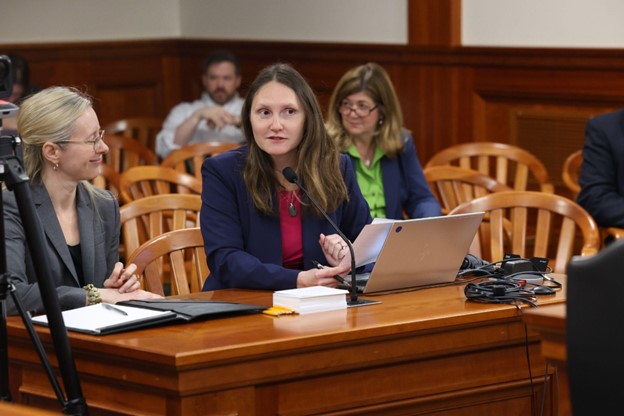 Michigan State Representative Penelope Tsernoglou testifies in a House committee.